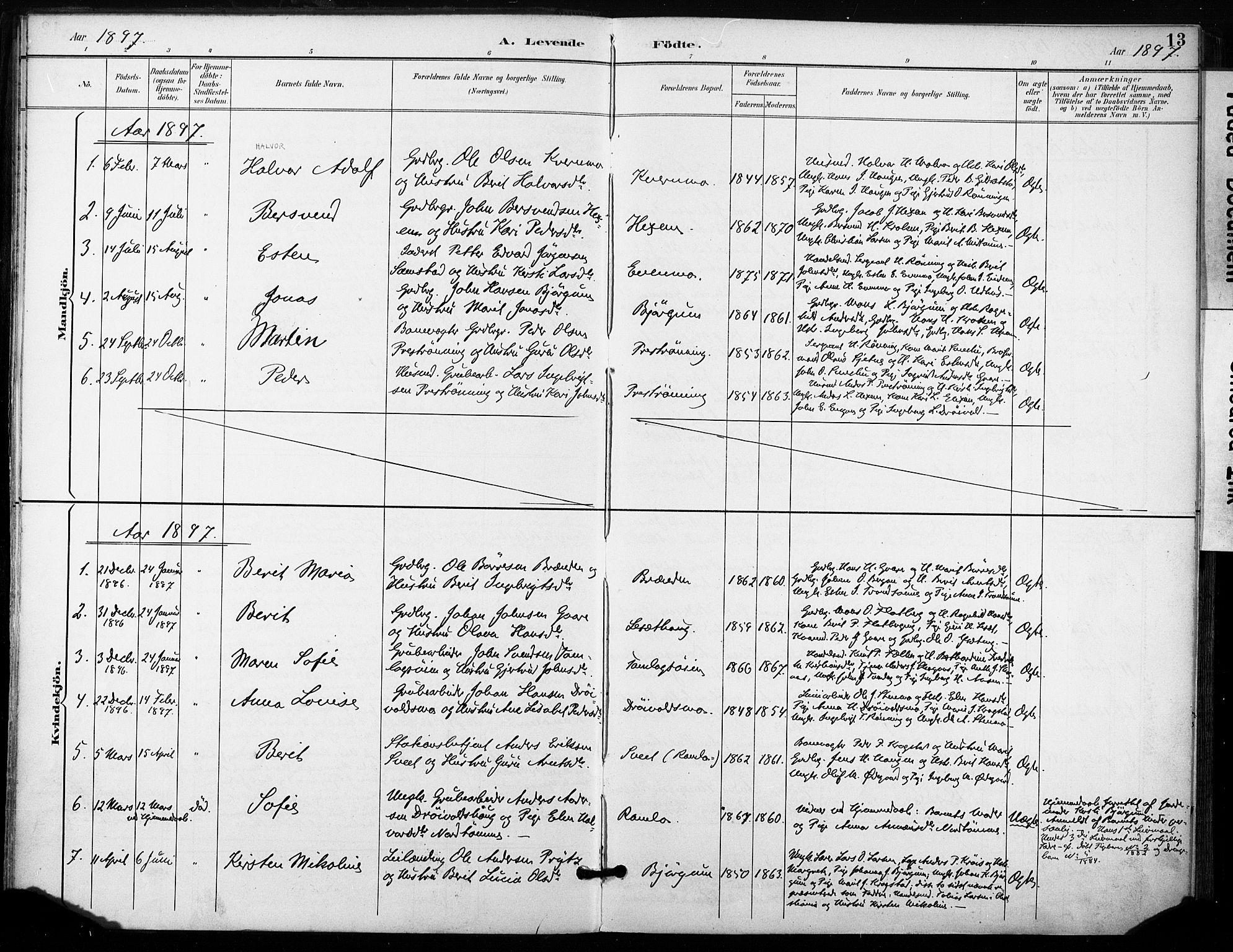 Ministerialprotokoller, klokkerbøker og fødselsregistre - Sør-Trøndelag, AV/SAT-A-1456/685/L0973: Parish register (official) no. 685A10, 1891-1907, p. 13