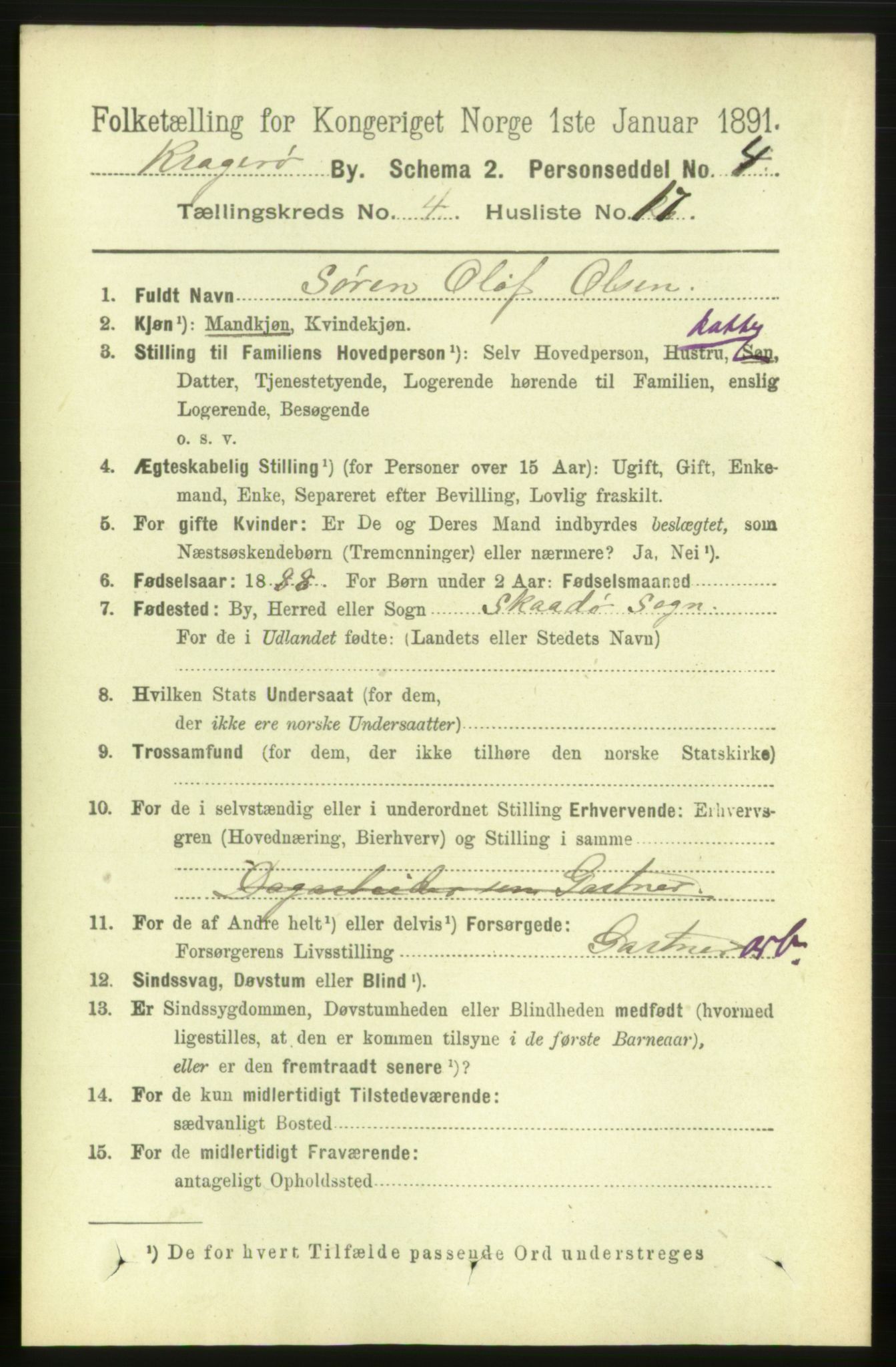 RA, 1891 census for 0801 Kragerø, 1891, p. 2943