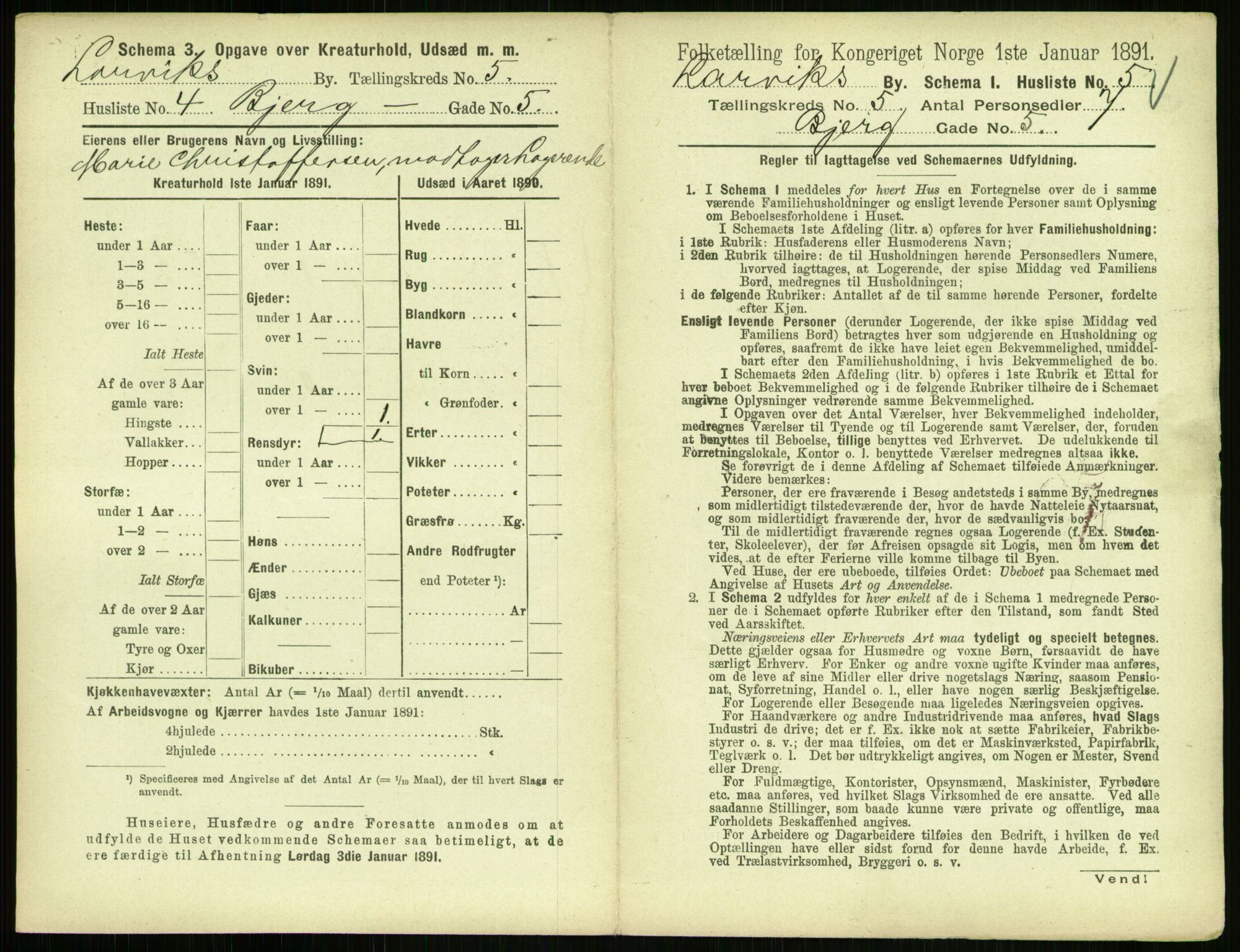 RA, 1891 census for 0707 Larvik, 1891, p. 697