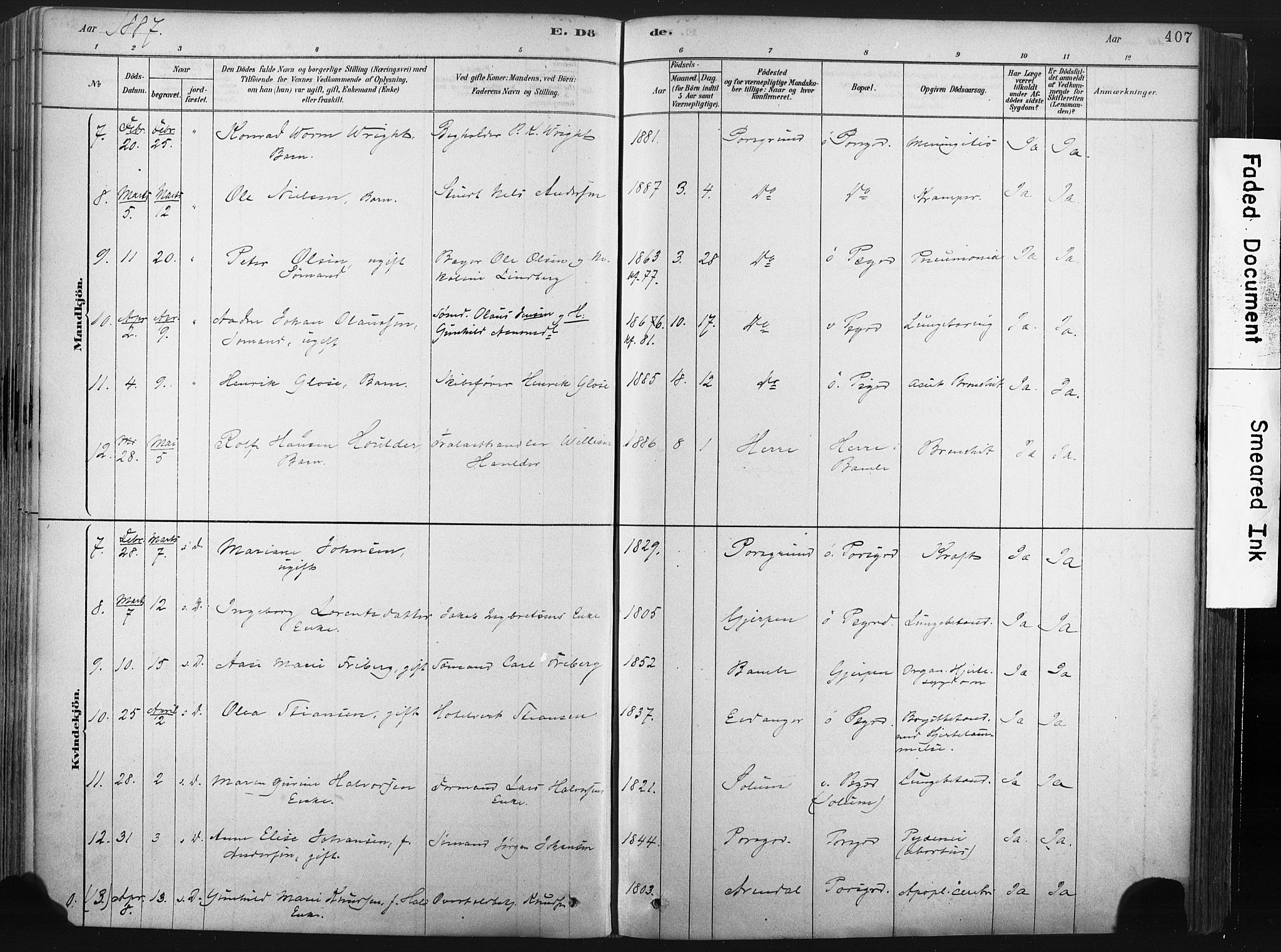 Porsgrunn kirkebøker , AV/SAKO-A-104/F/Fa/L0008: Parish register (official) no. 8, 1878-1895, p. 407