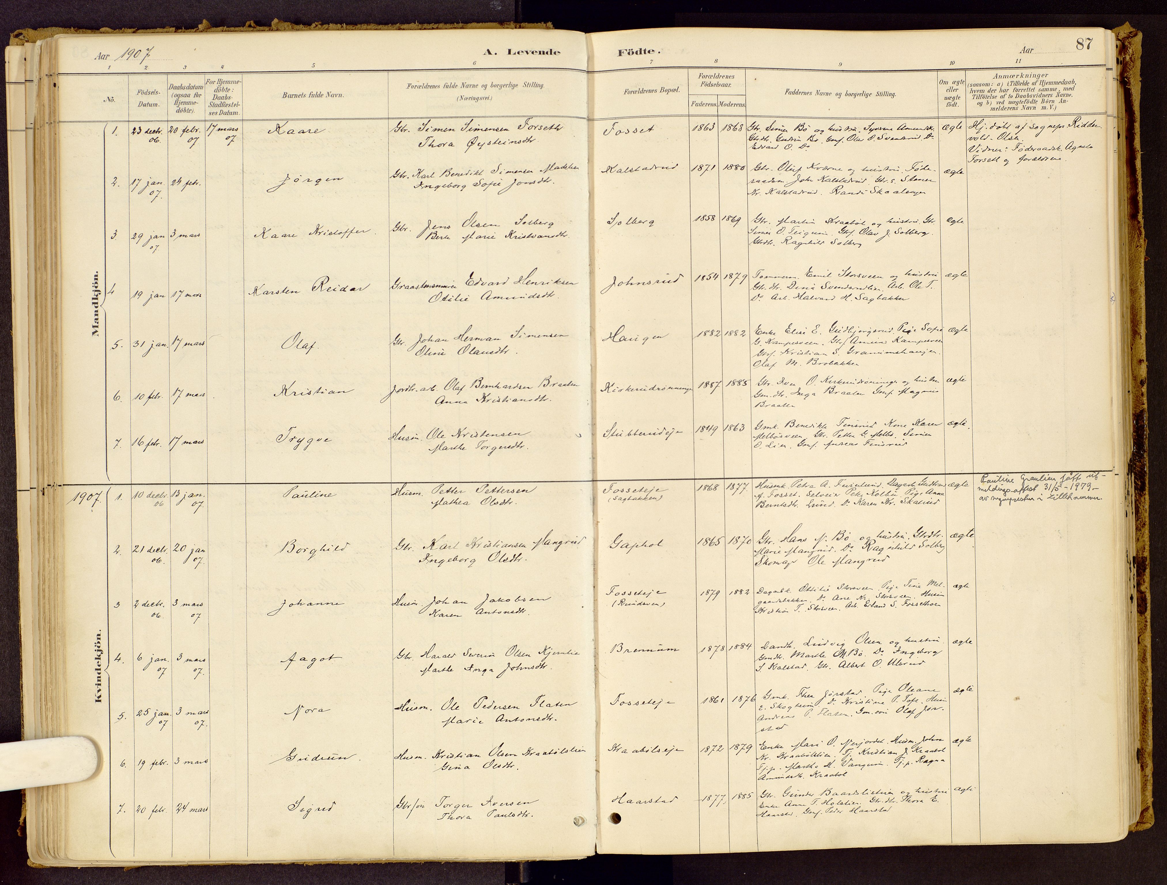 Vestre Gausdal prestekontor, SAH/PREST-094/H/Ha/Haa/L0001: Parish register (official) no. 1, 1887-1914, p. 87