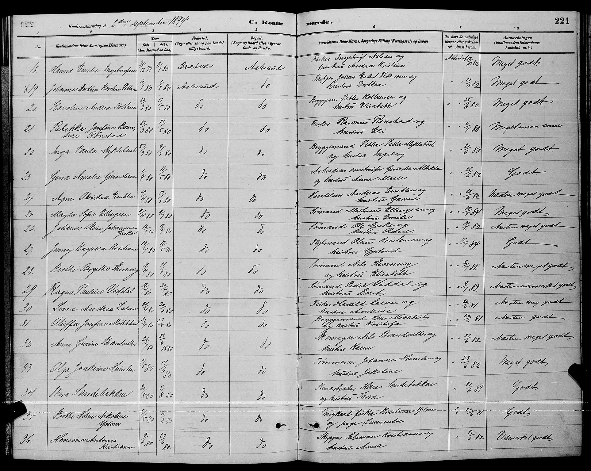 Ministerialprotokoller, klokkerbøker og fødselsregistre - Møre og Romsdal, AV/SAT-A-1454/529/L0467: Parish register (copy) no. 529C04, 1889-1897, p. 221