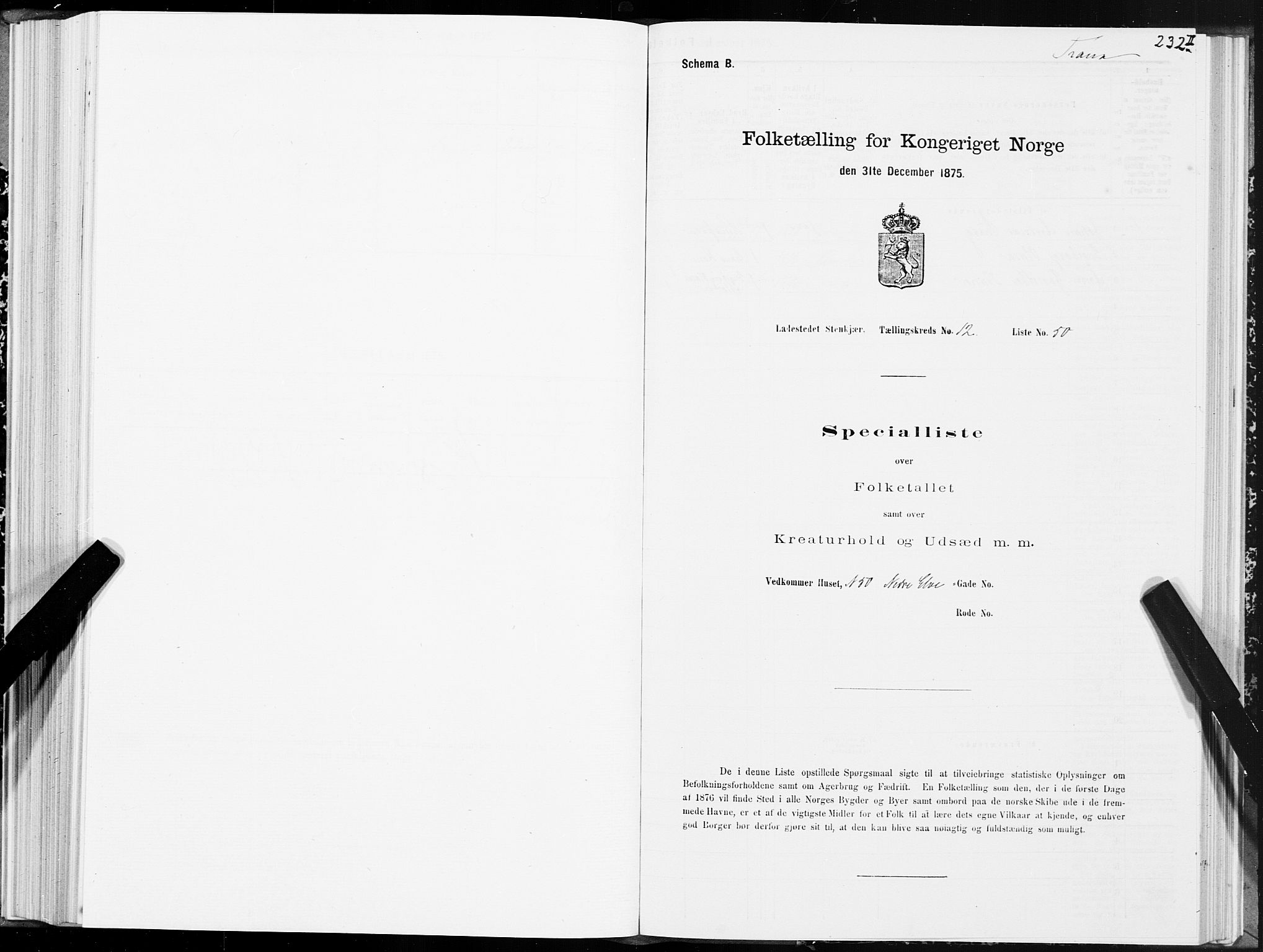 SAT, 1875 census for 1702B Steinkjer/Steinkjer, 1875, p. 232b