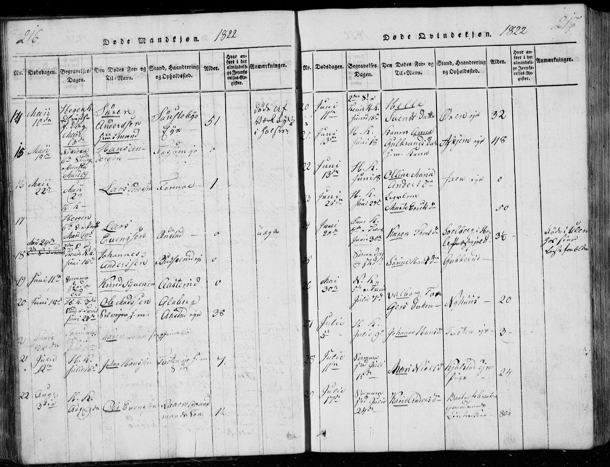 Modum kirkebøker, AV/SAKO-A-234/G/Ga/L0001: Parish register (copy) no. I 1, 1818-1824, p. 216-217