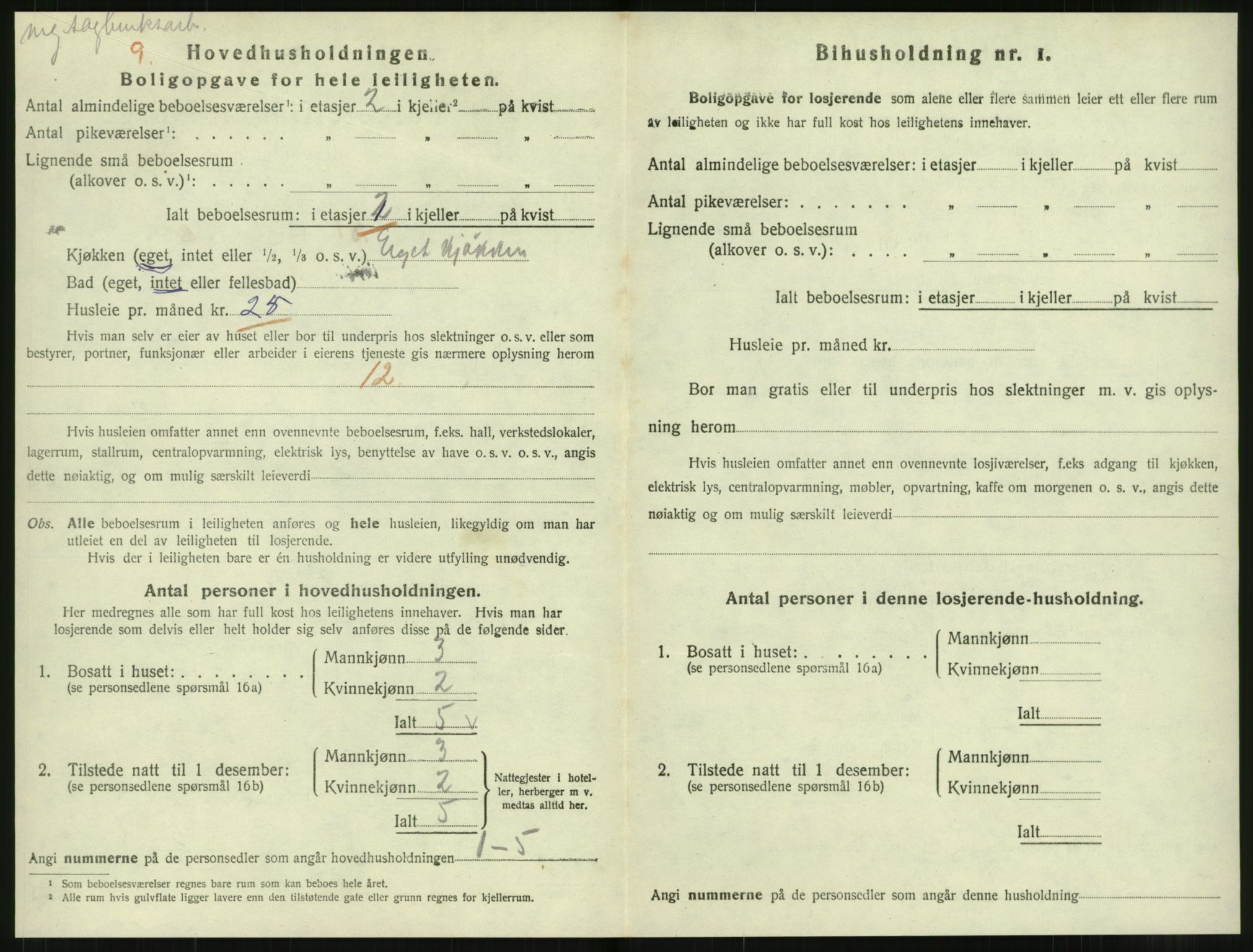 SAT, 1920 census for Levanger town, 1920, p. 1201