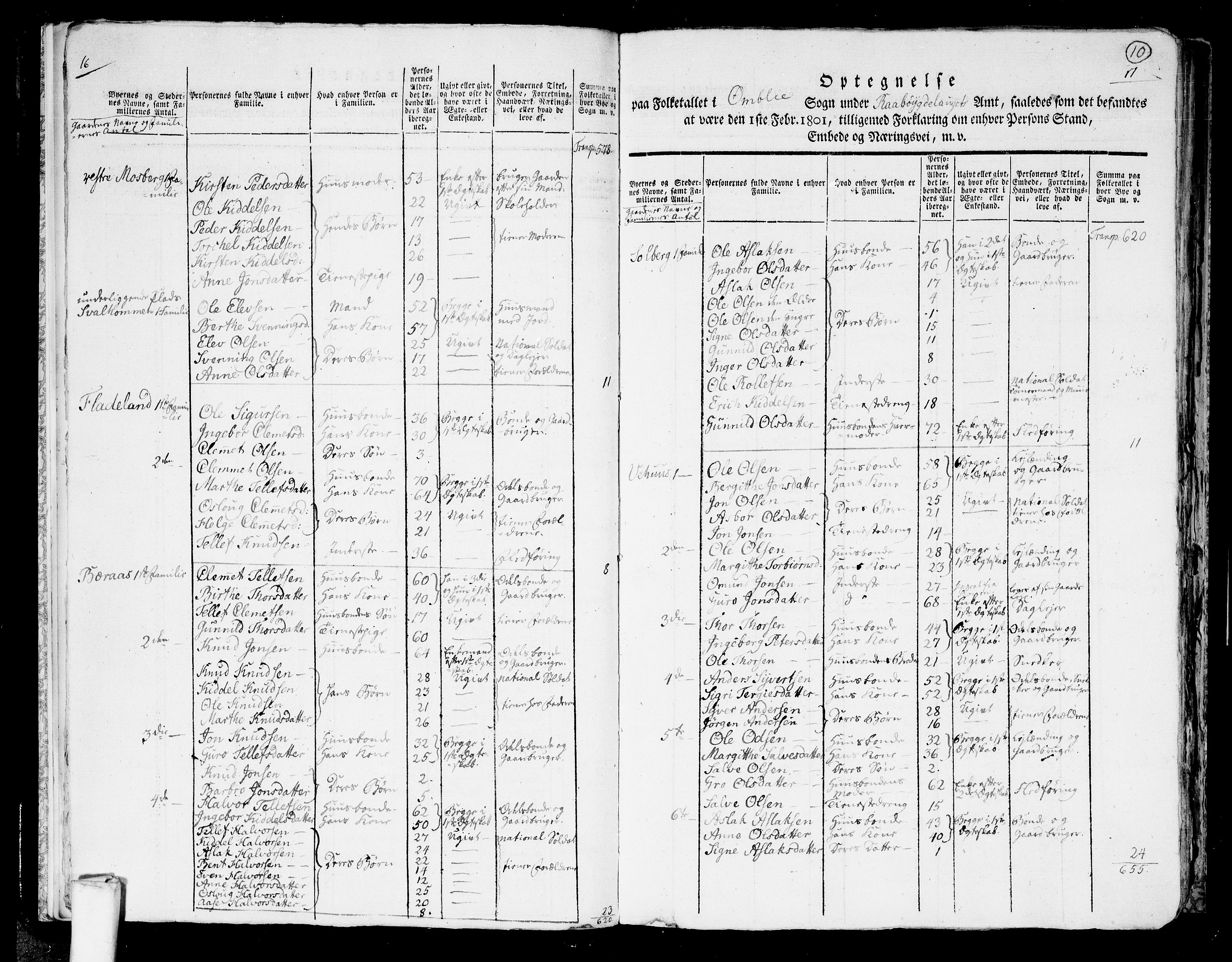 RA, 1801 census for 0929P Åmli, 1801, p. 9b-10a