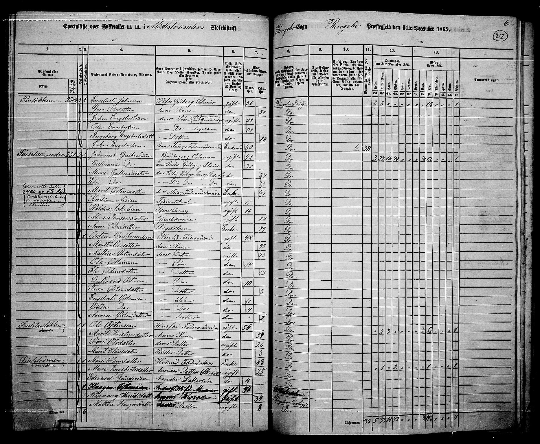 RA, 1865 census for Ringebu, 1865, p. 185