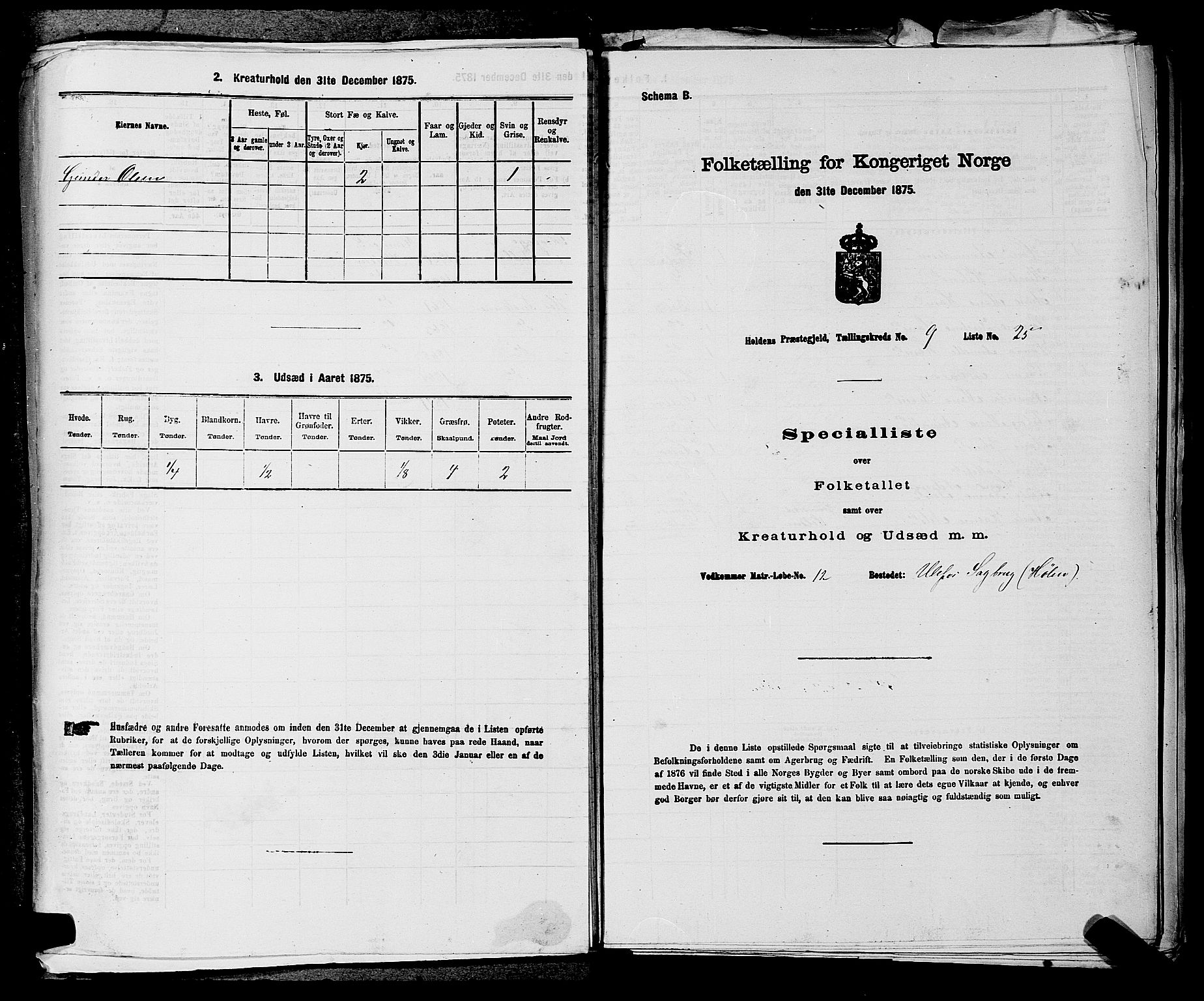 SAKO, 1875 census for 0819P Holla, 1875, p. 1128