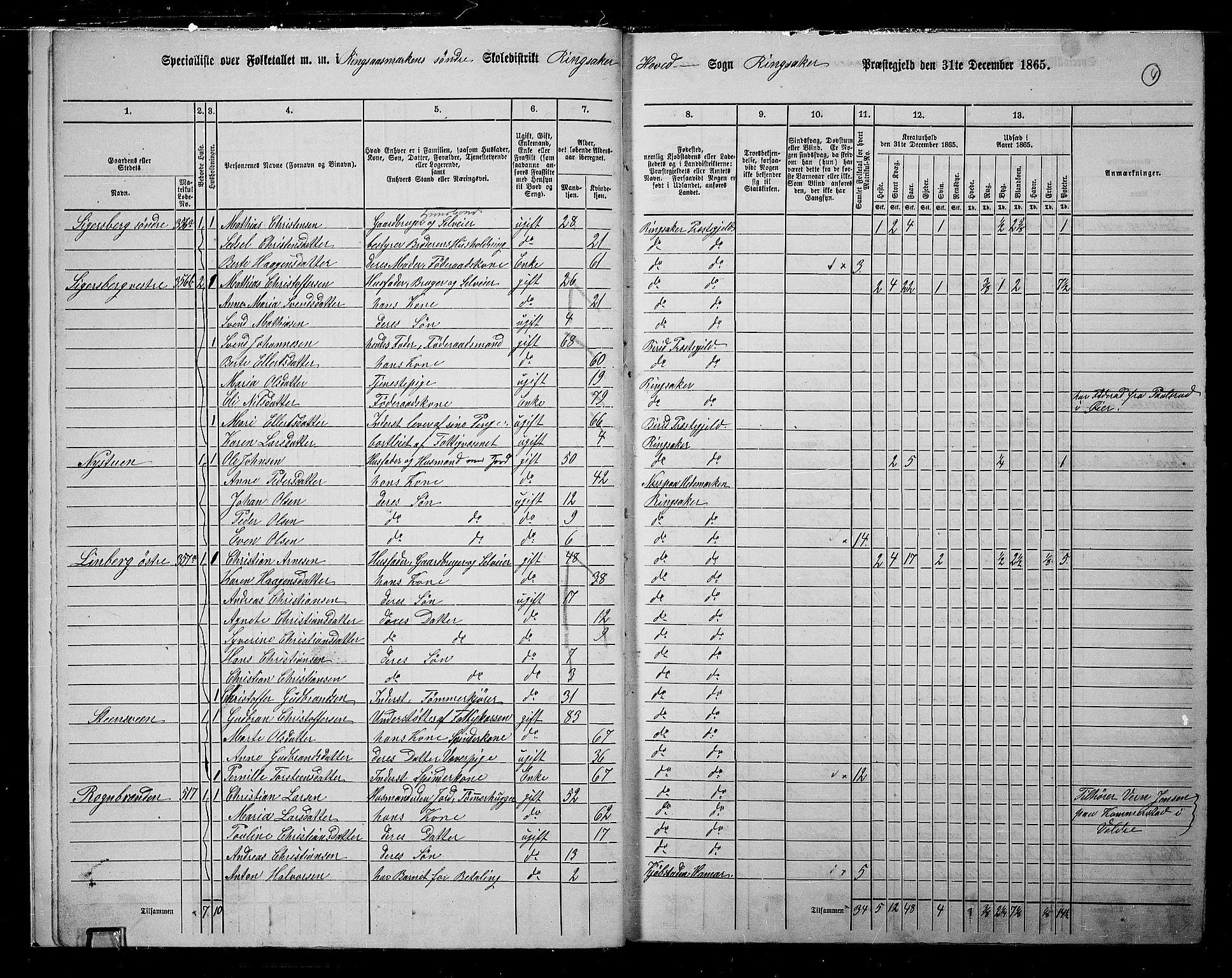 RA, 1865 census for Ringsaker, 1865, p. 268