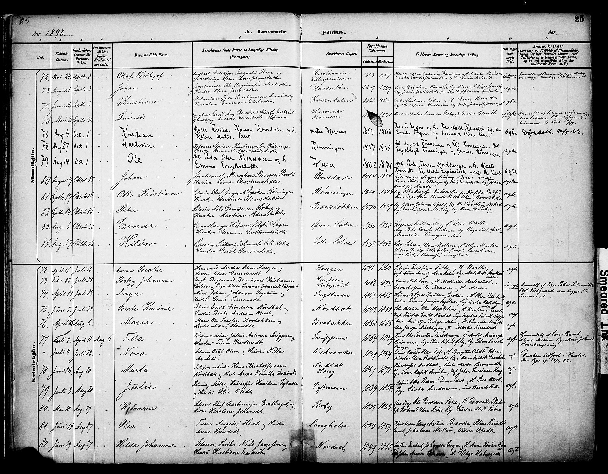 Elverum prestekontor, AV/SAH-PREST-044/H/Ha/Haa/L0014: Parish register (official) no. 14, 1891-1909, p. 25