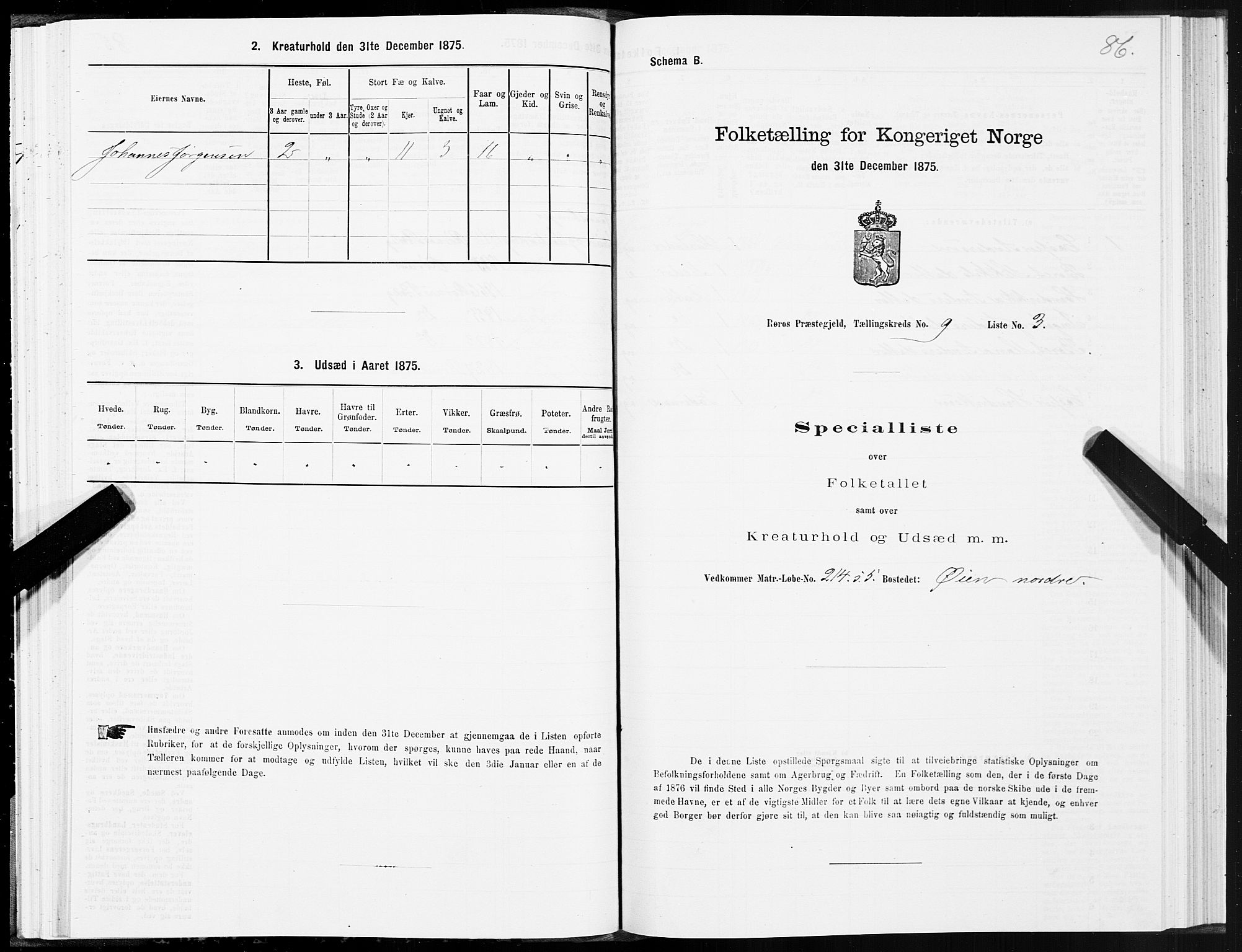 SAT, 1875 census for 1640P Røros, 1875, p. 5086