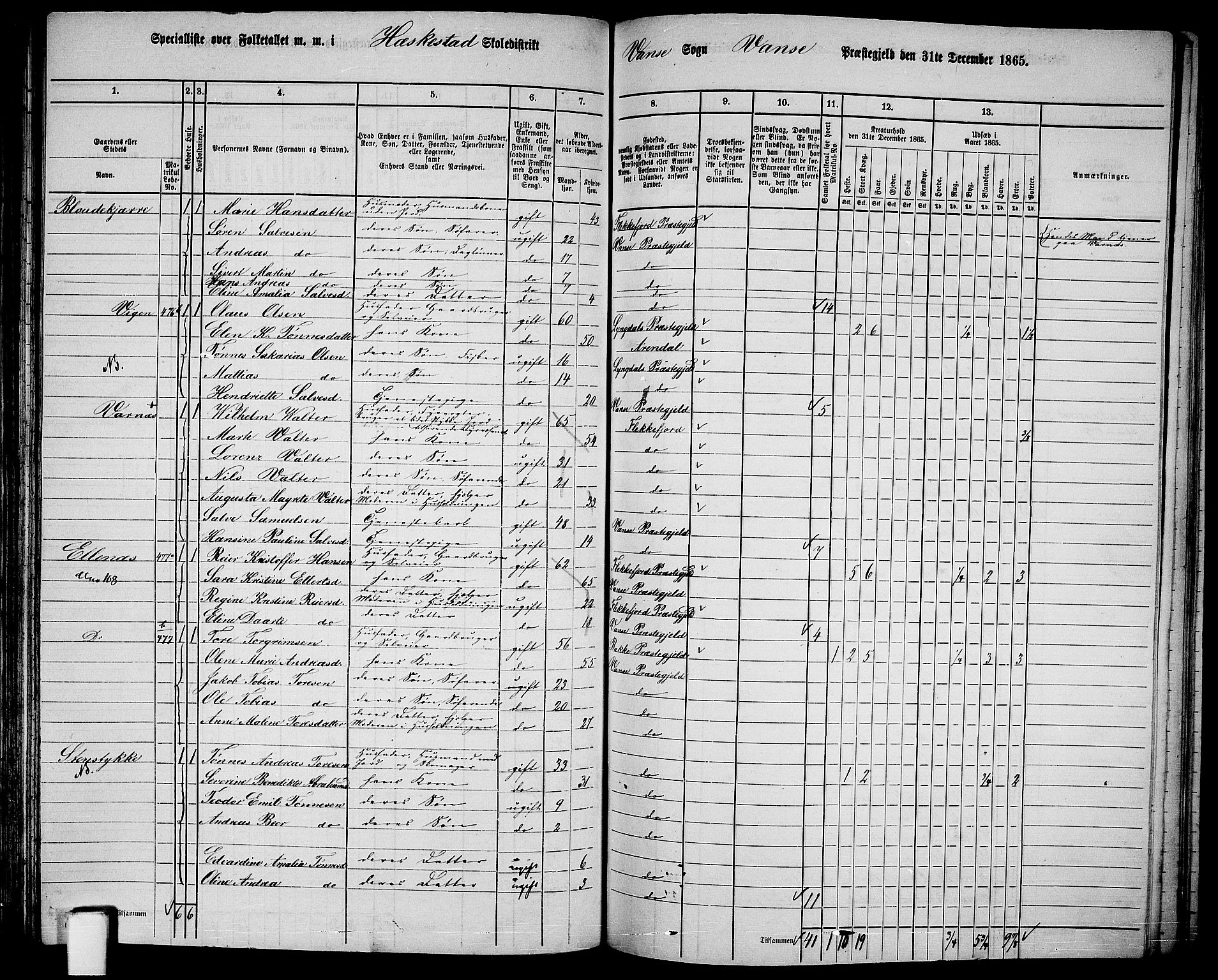 RA, 1865 census for Vanse/Vanse og Farsund, 1865, p. 166