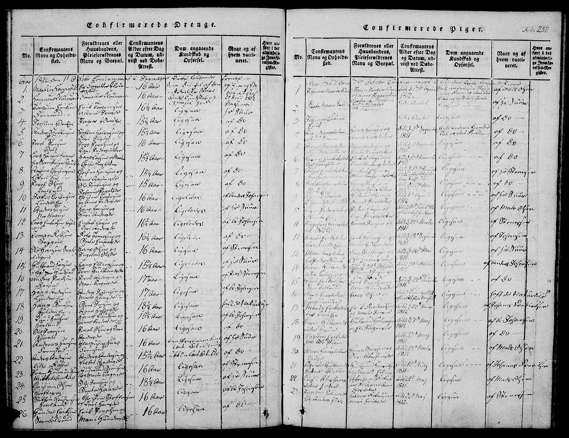 Jevnaker prestekontor, SAH/PREST-116/H/Ha/Hab/L0001: Parish register (copy) no. 1, 1815-1837, p. 253