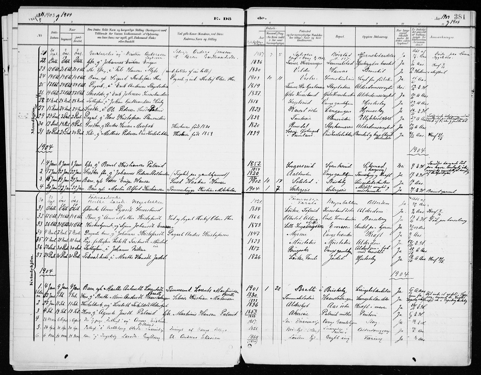 Vang prestekontor, Hedmark, SAH/PREST-008/H/Ha/Haa/L0021: Parish register (official) no. 21, 1902-1917, p. 381