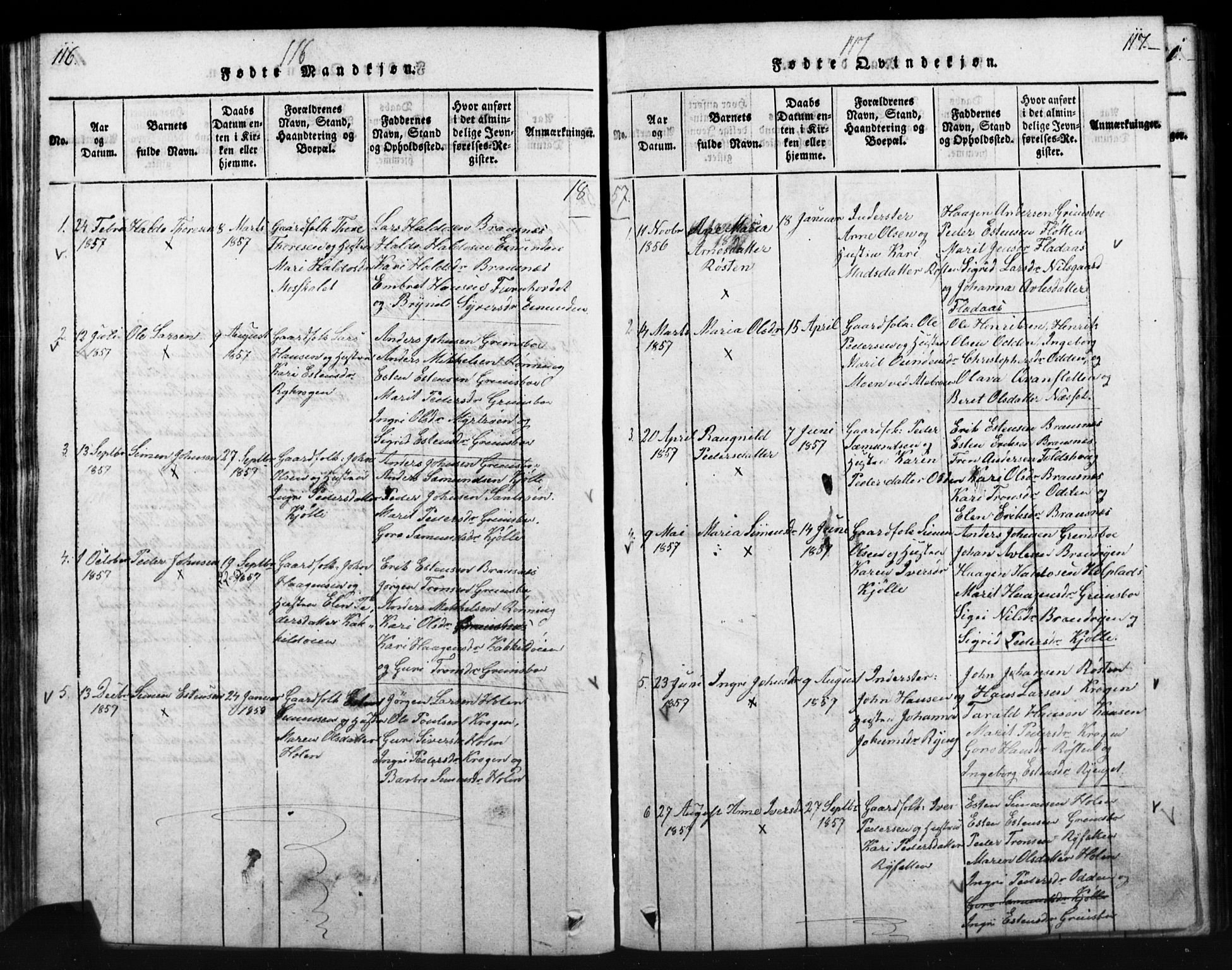 Tynset prestekontor, SAH/PREST-058/H/Ha/Hab/L0003: Parish register (copy) no. 3, 1814-1862, p. 116-117