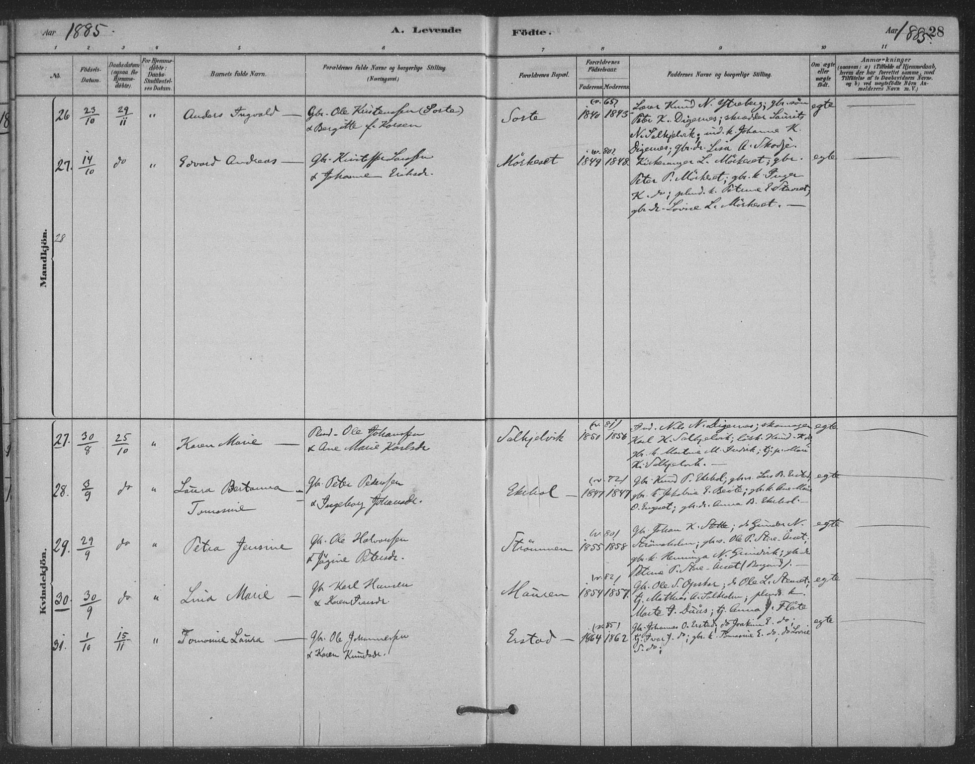 Ministerialprotokoller, klokkerbøker og fødselsregistre - Møre og Romsdal, AV/SAT-A-1454/524/L0356: Parish register (official) no. 524A08, 1880-1899, p. 28