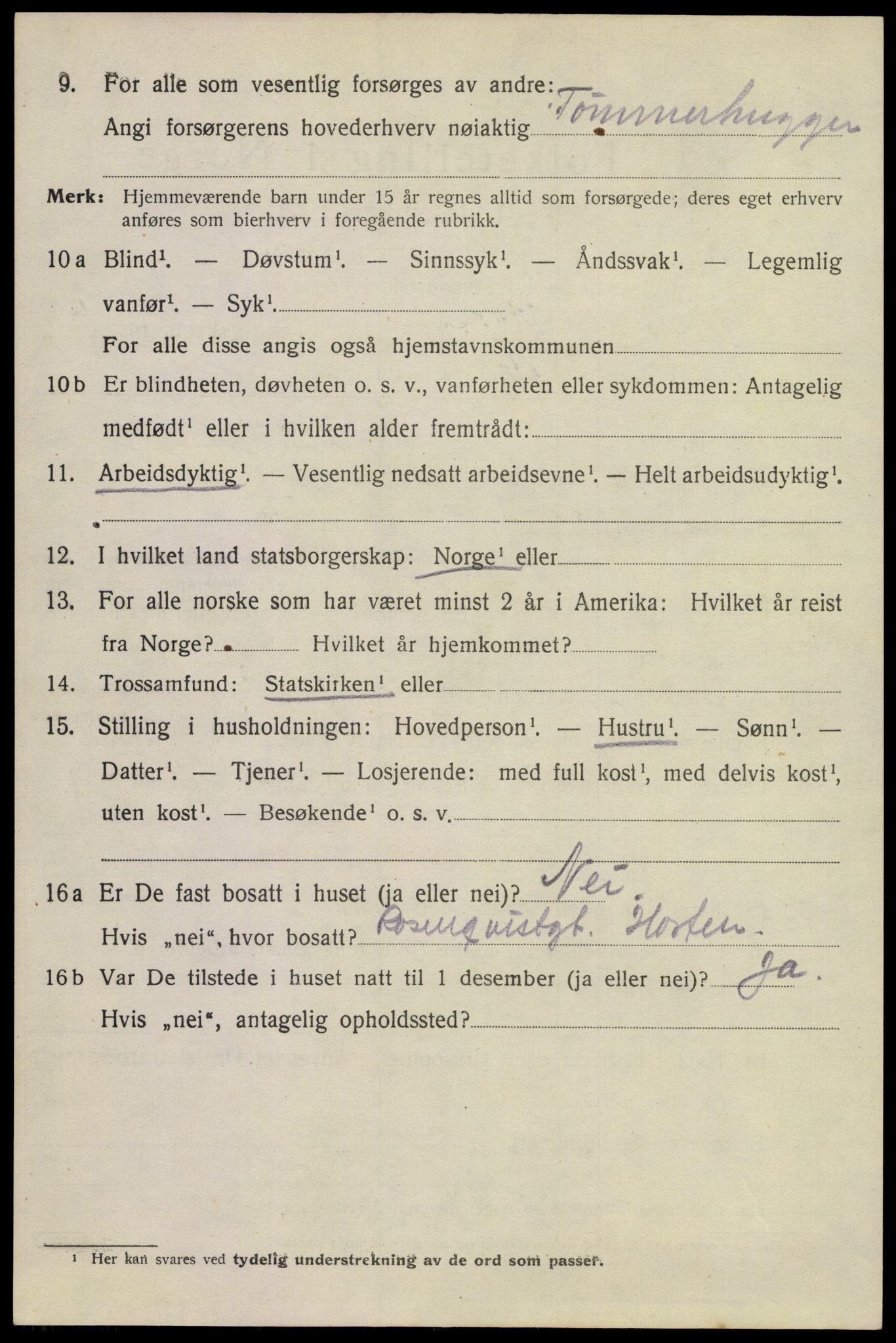 SAKO, 1920 census for Horten, 1920, p. 25406