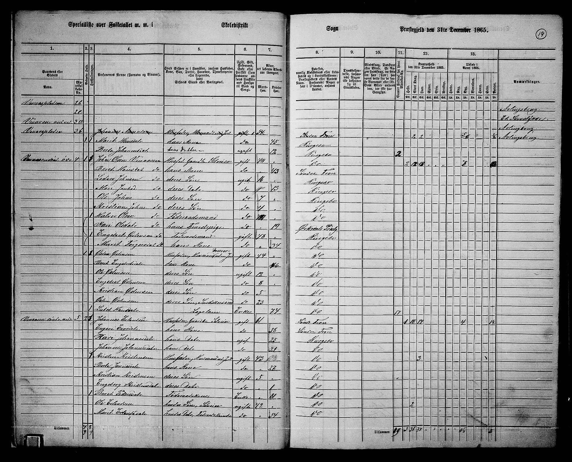 RA, 1865 census for Ringebu, 1865, p. 14