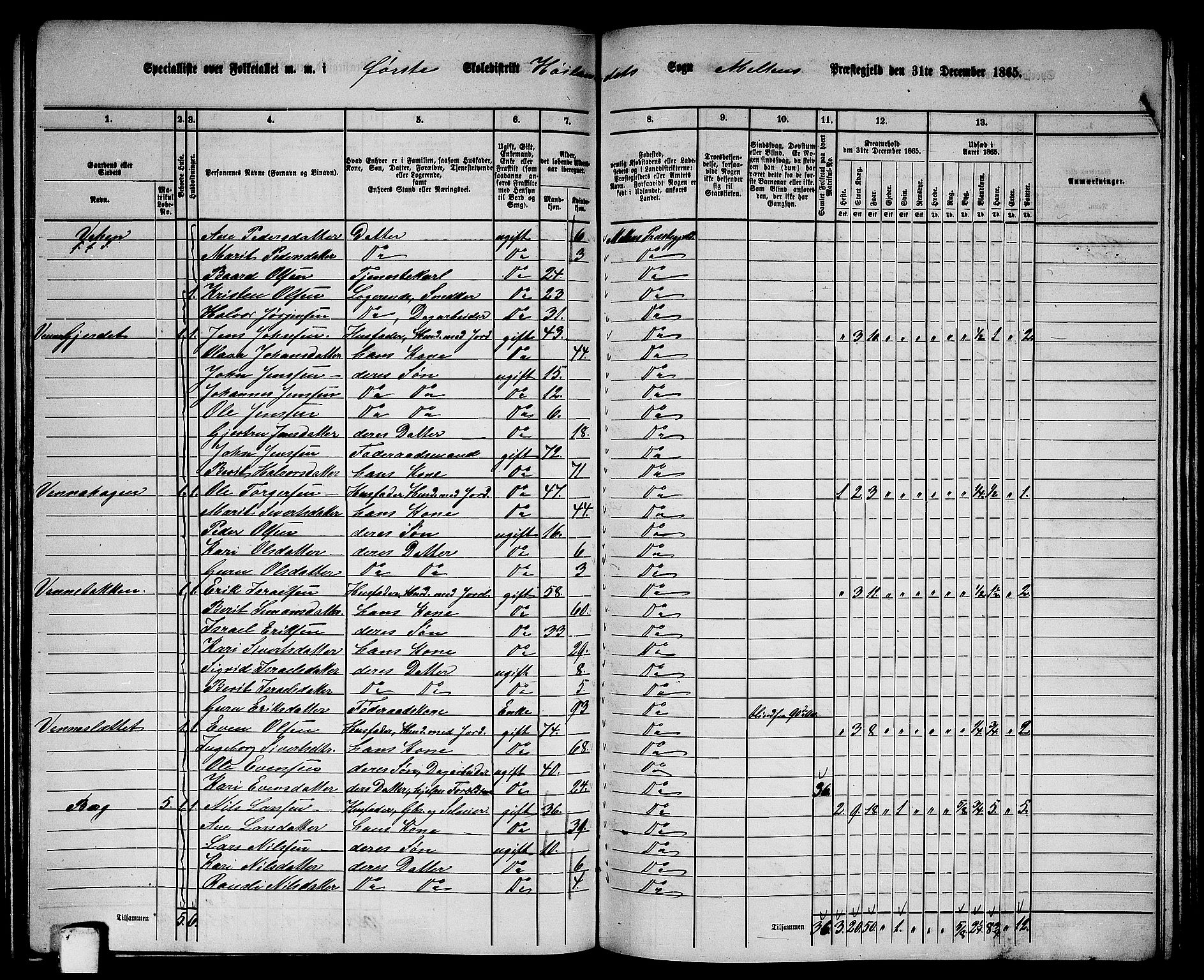 RA, 1865 census for Melhus, 1865, p. 158