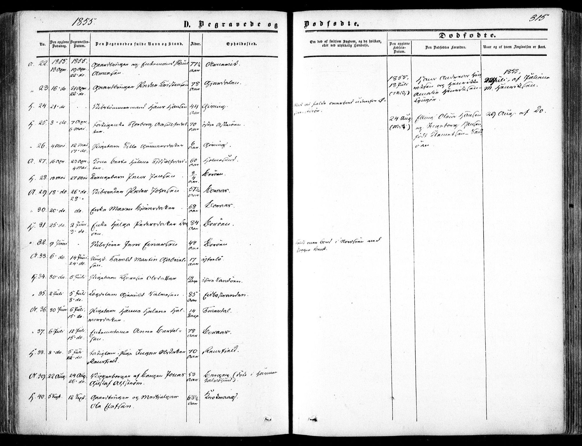 Dypvåg sokneprestkontor, SAK/1111-0007/F/Fa/Faa/L0006: Parish register (official) no. A 6, 1855-1872, p. 315