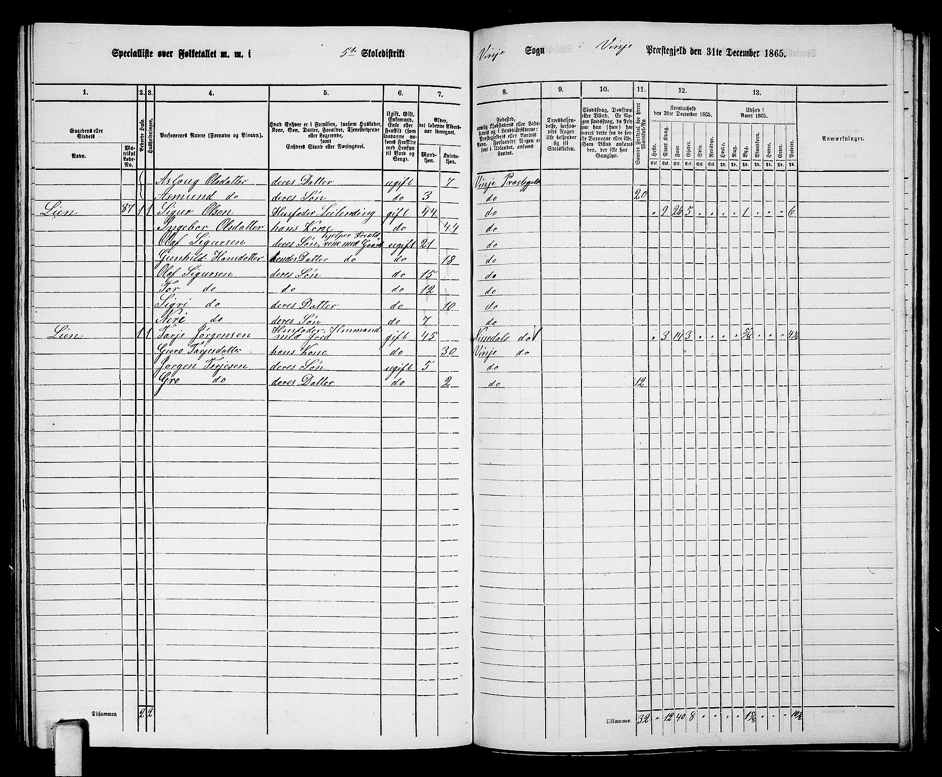 RA, 1865 census for Vinje, 1865, p. 53