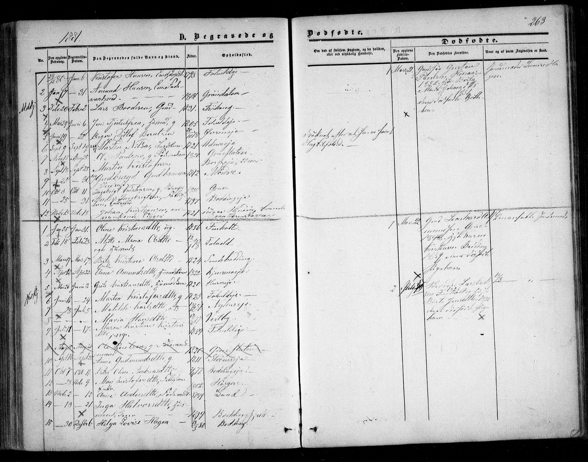 Nes prestekontor Kirkebøker, SAO/A-10410/F/Fc/L0001: Parish register (official) no. III 1, 1859-1882, p. 263