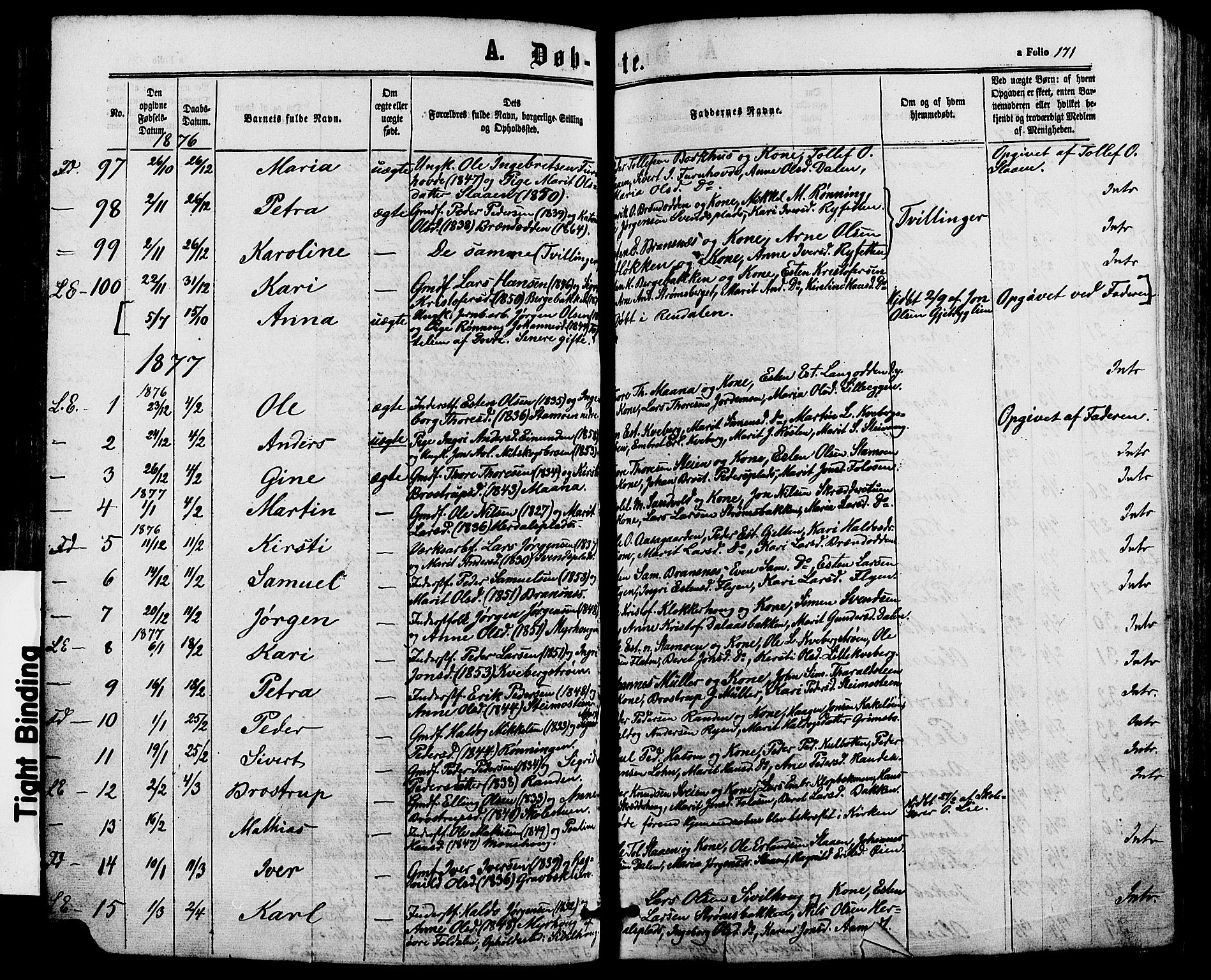 Alvdal prestekontor, SAH/PREST-060/H/Ha/Haa/L0001: Parish register (official) no. 1, 1863-1882, p. 171