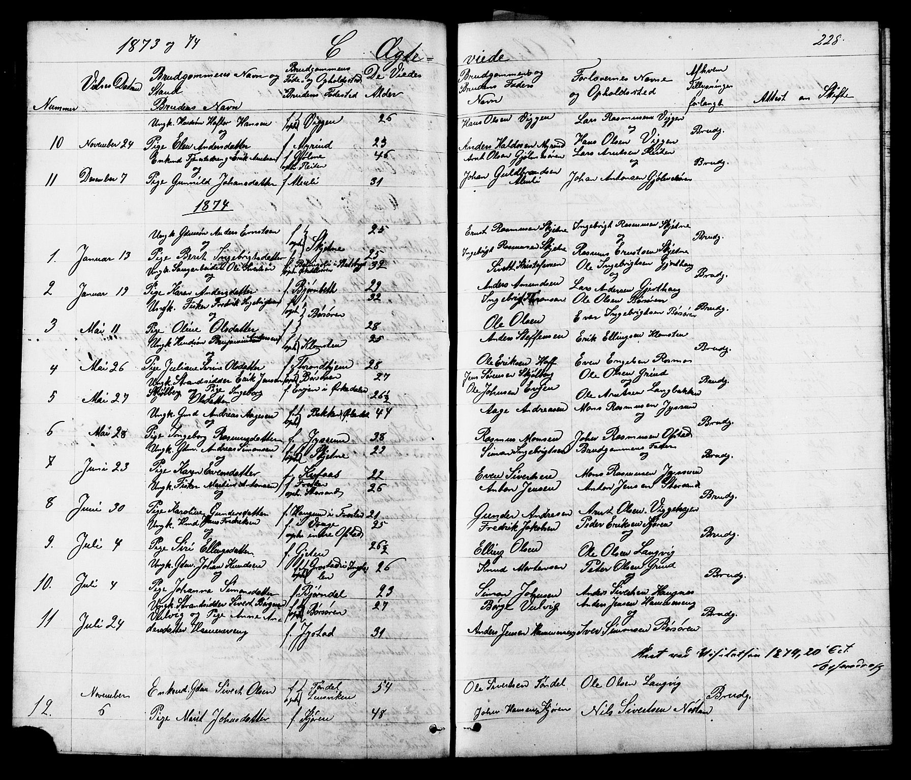 Ministerialprotokoller, klokkerbøker og fødselsregistre - Sør-Trøndelag, SAT/A-1456/665/L0777: Parish register (copy) no. 665C02, 1867-1915, p. 228