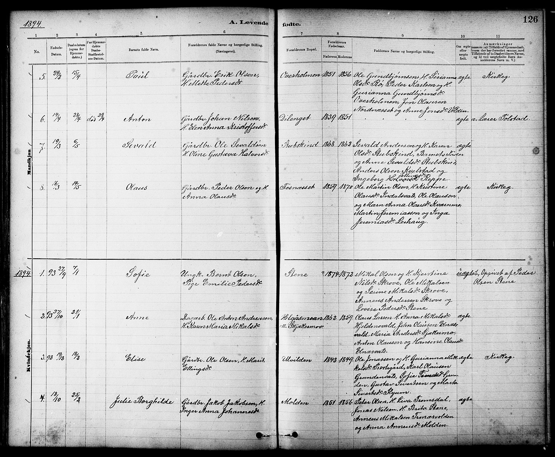 Ministerialprotokoller, klokkerbøker og fødselsregistre - Nord-Trøndelag, AV/SAT-A-1458/724/L0267: Parish register (copy) no. 724C03, 1879-1898, p. 126