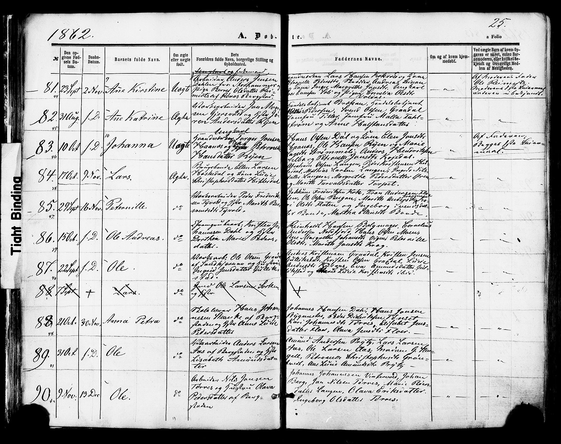 Ministerialprotokoller, klokkerbøker og fødselsregistre - Sør-Trøndelag, SAT/A-1456/681/L0932: Parish register (official) no. 681A10, 1860-1878, p. 25
