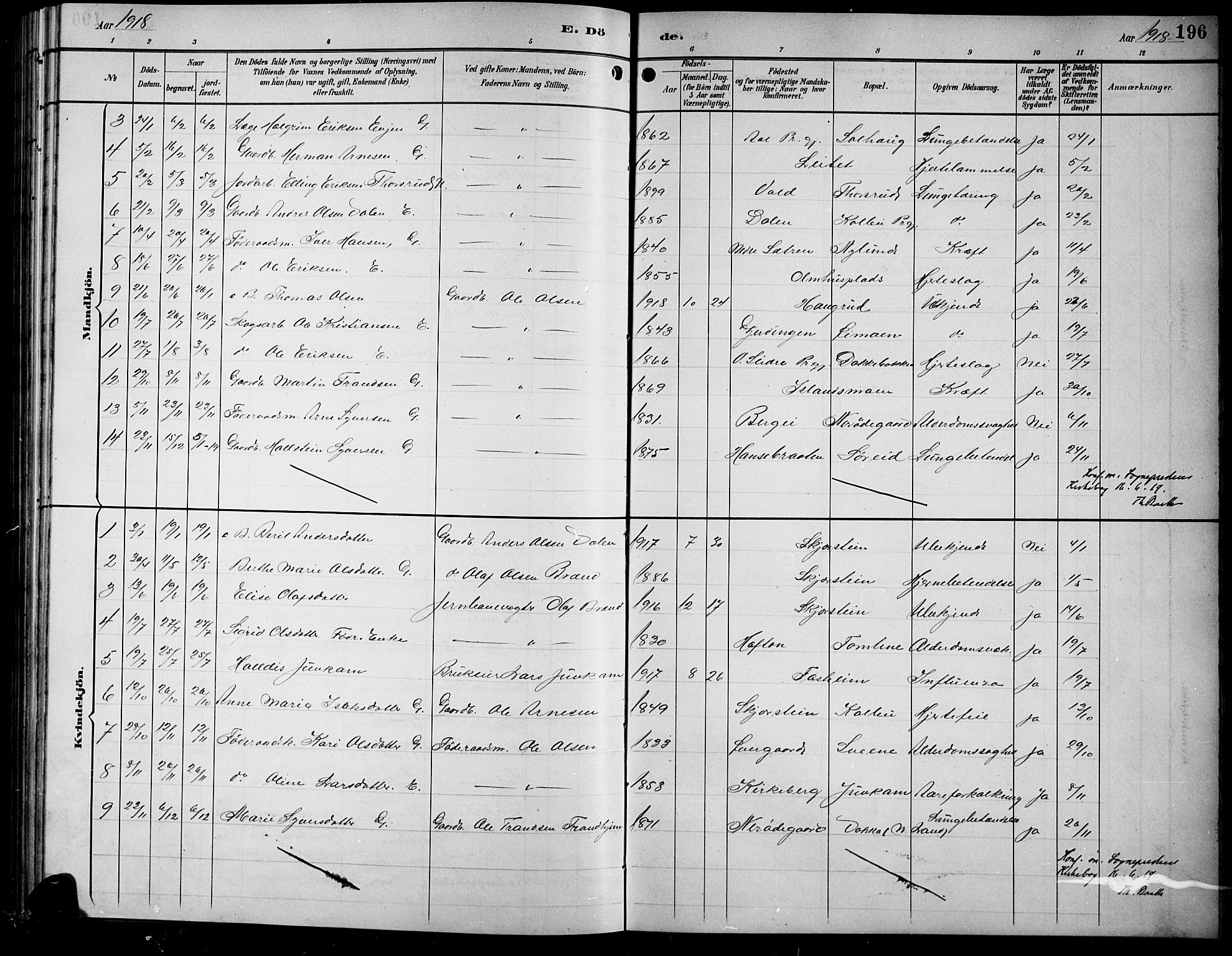 Sør-Aurdal prestekontor, SAH/PREST-128/H/Ha/Hab/L0009: Parish register (copy) no. 9, 1894-1924, p. 196
