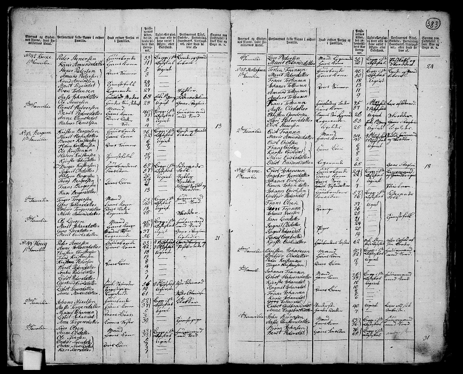 RA, 1801 census for 0521P Øyer, 1801, p. 382b-383a