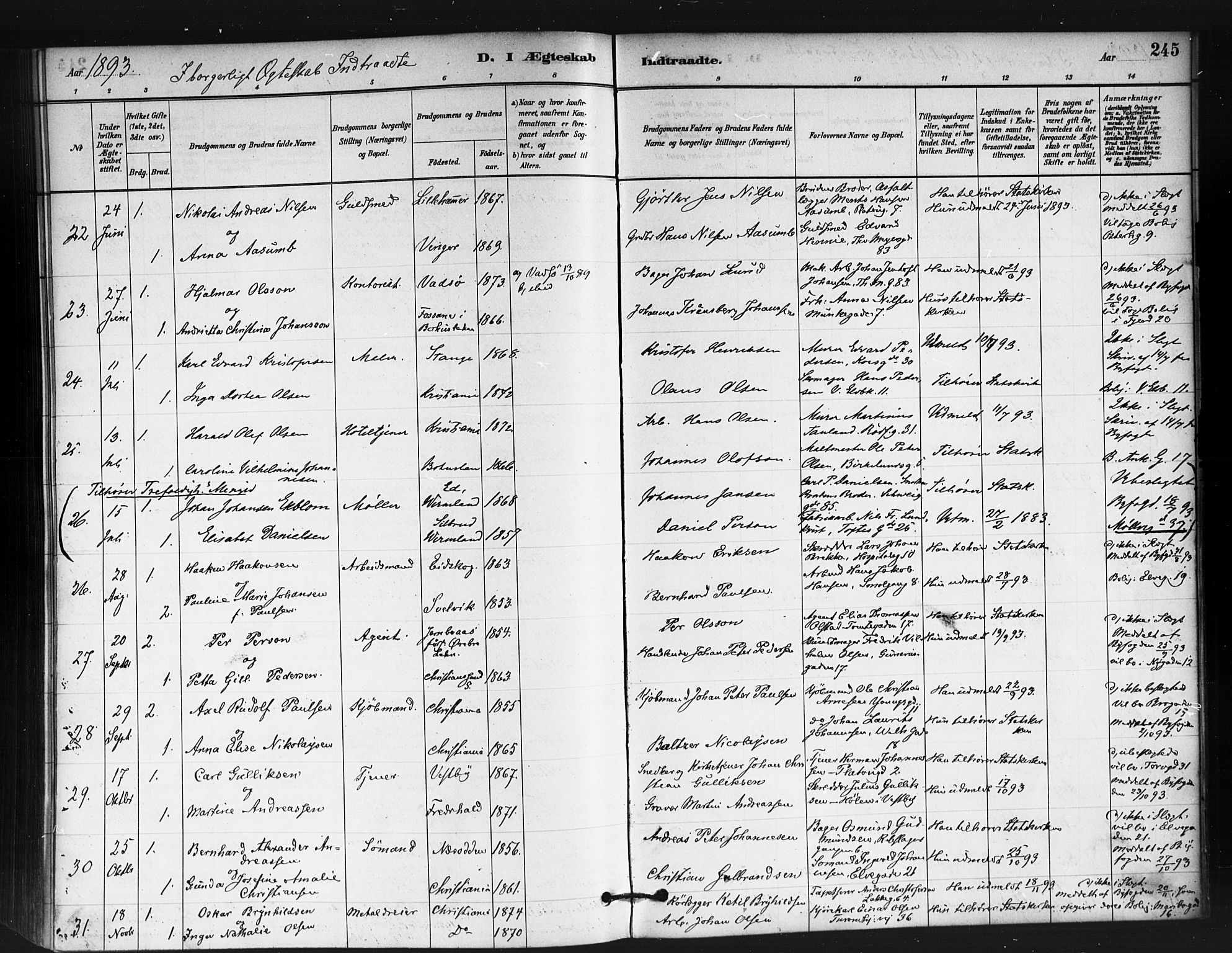 Jakob prestekontor Kirkebøker, SAO/A-10850/F/Fa/L0004: Parish register (official) no. 4, 1880-1894, p. 245