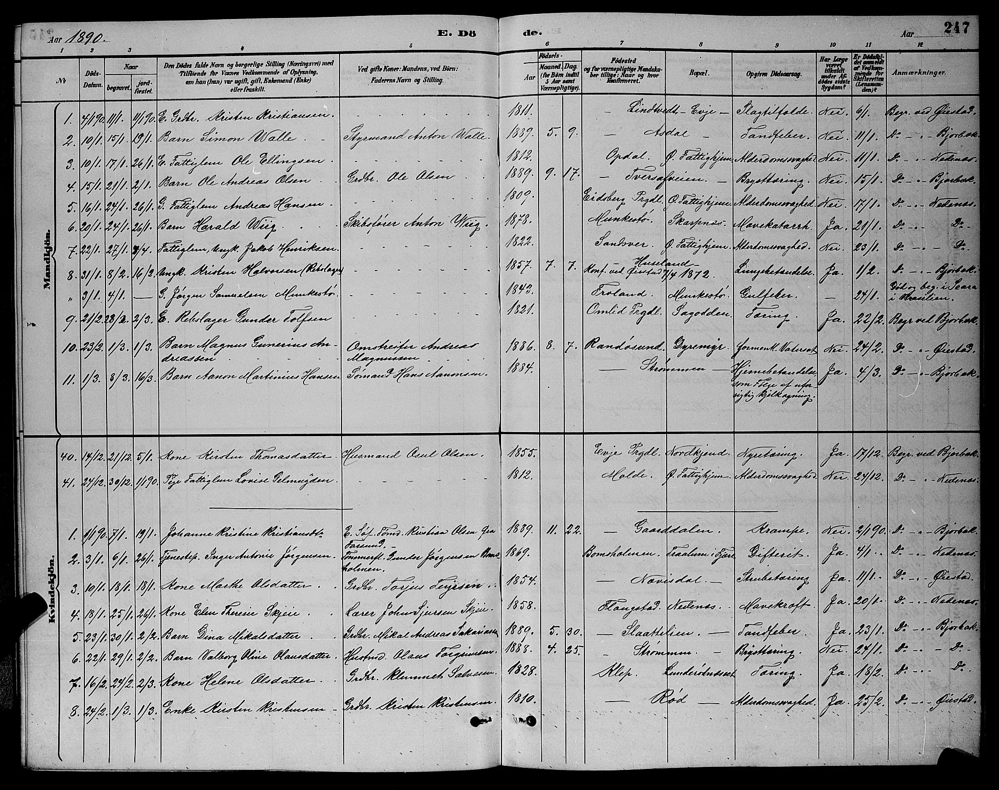 Øyestad sokneprestkontor, SAK/1111-0049/F/Fb/L0009: Parish register (copy) no. B 9, 1886-1896, p. 247