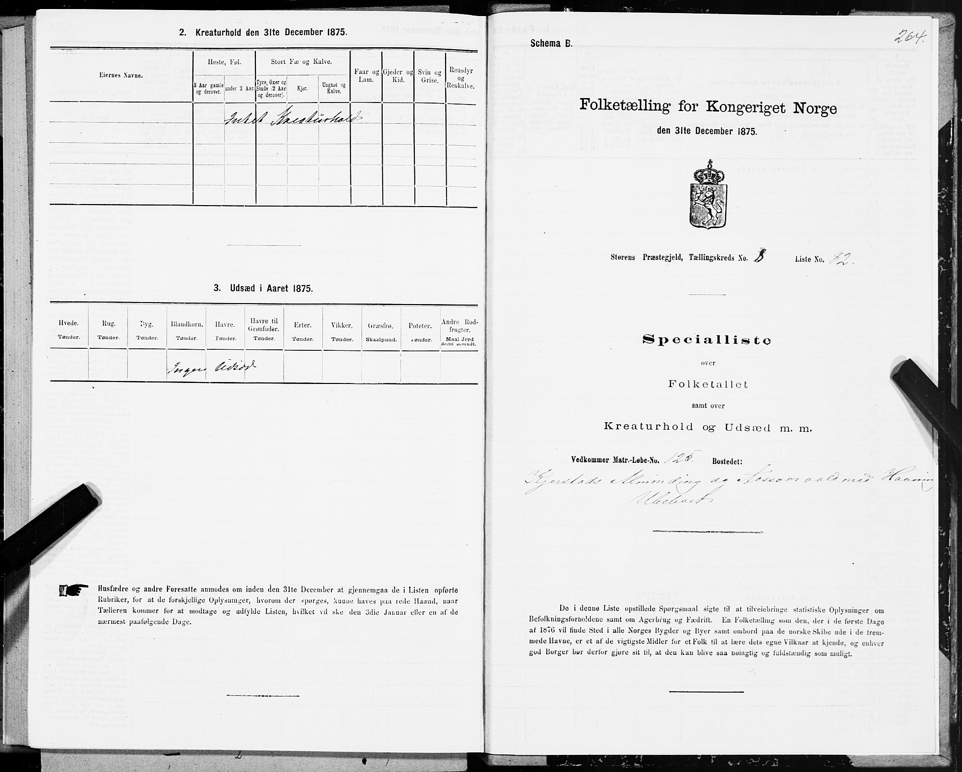 SAT, 1875 census for 1648P Støren, 1875, p. 4264