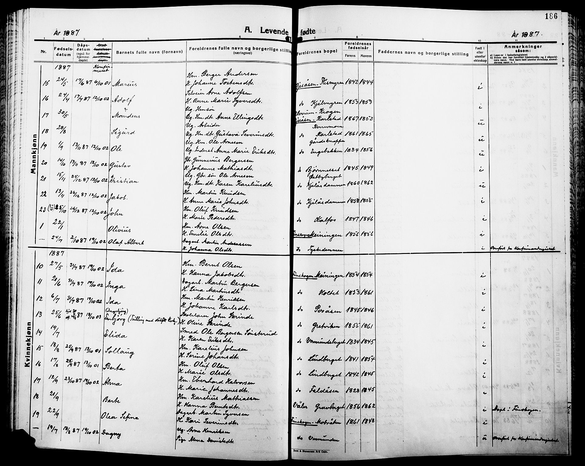 Åsnes prestekontor, SAH/PREST-042/H/Ha/Haa/L0000B: Parish register (official), 1870-1889, p. 186