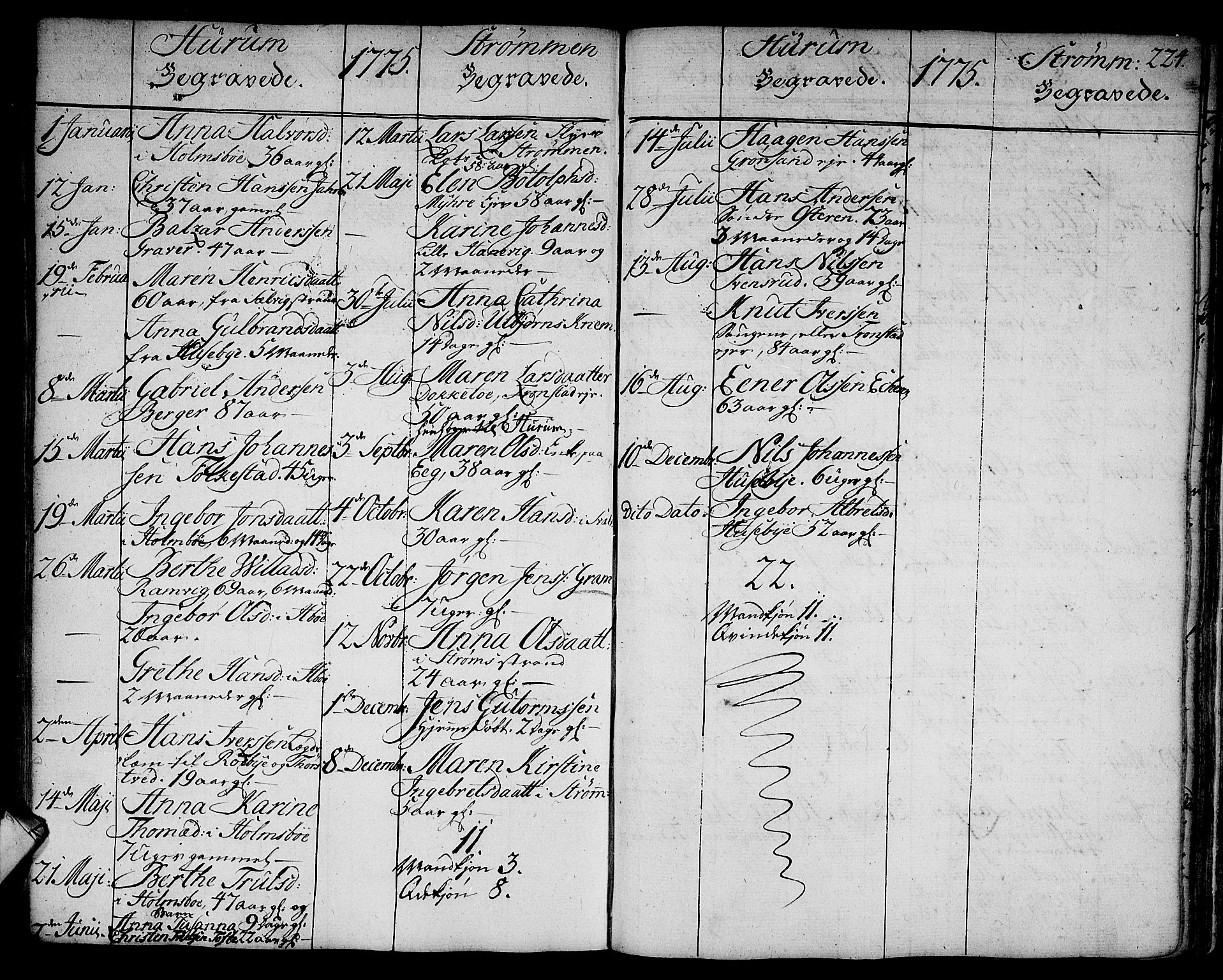 Hurum kirkebøker, AV/SAKO-A-229/F/Fa/L0007: Parish register (official) no. 7, 1771-1810, p. 224