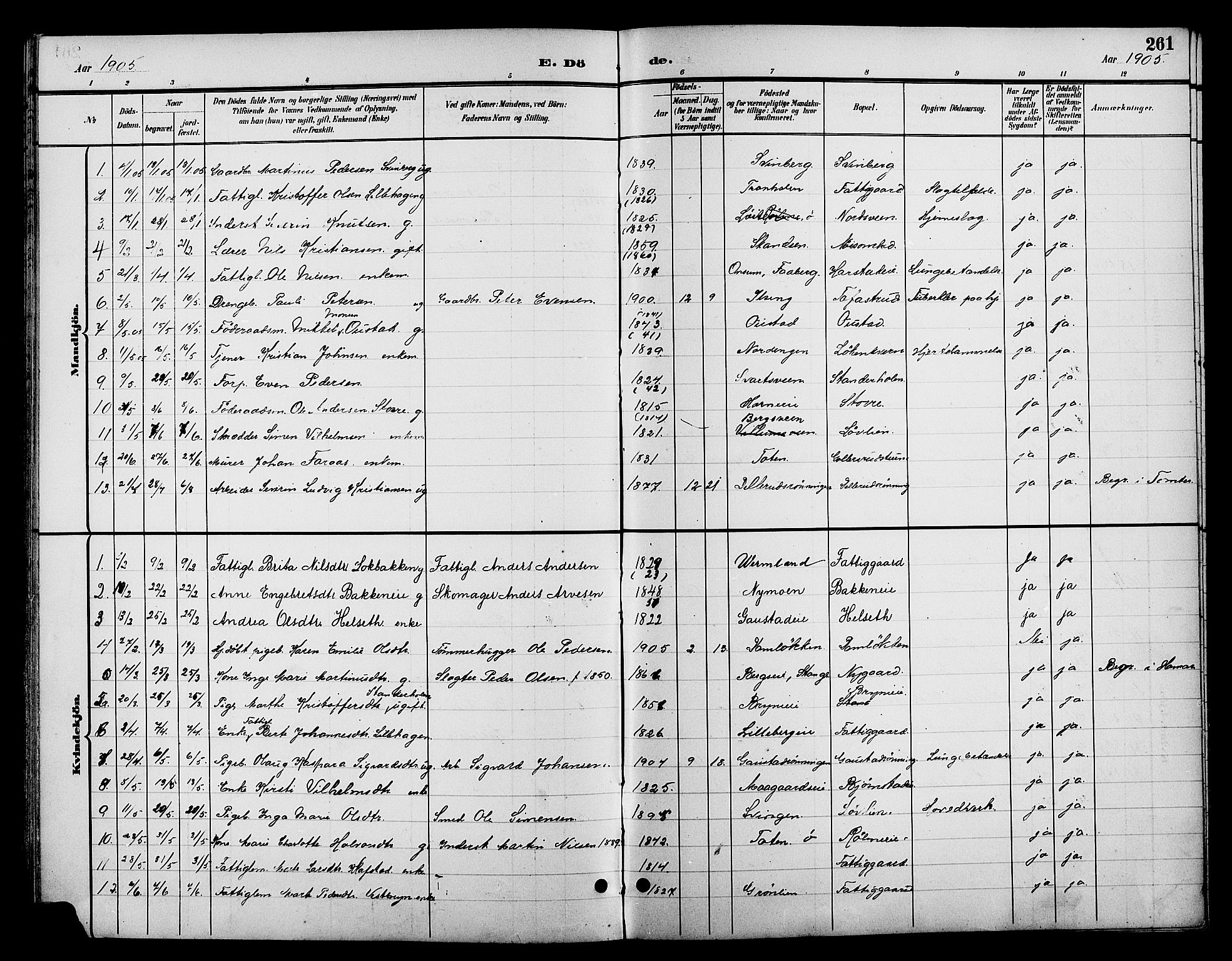 Romedal prestekontor, SAH/PREST-004/L/L0012: Parish register (copy) no. 12, 1896-1914, p. 261
