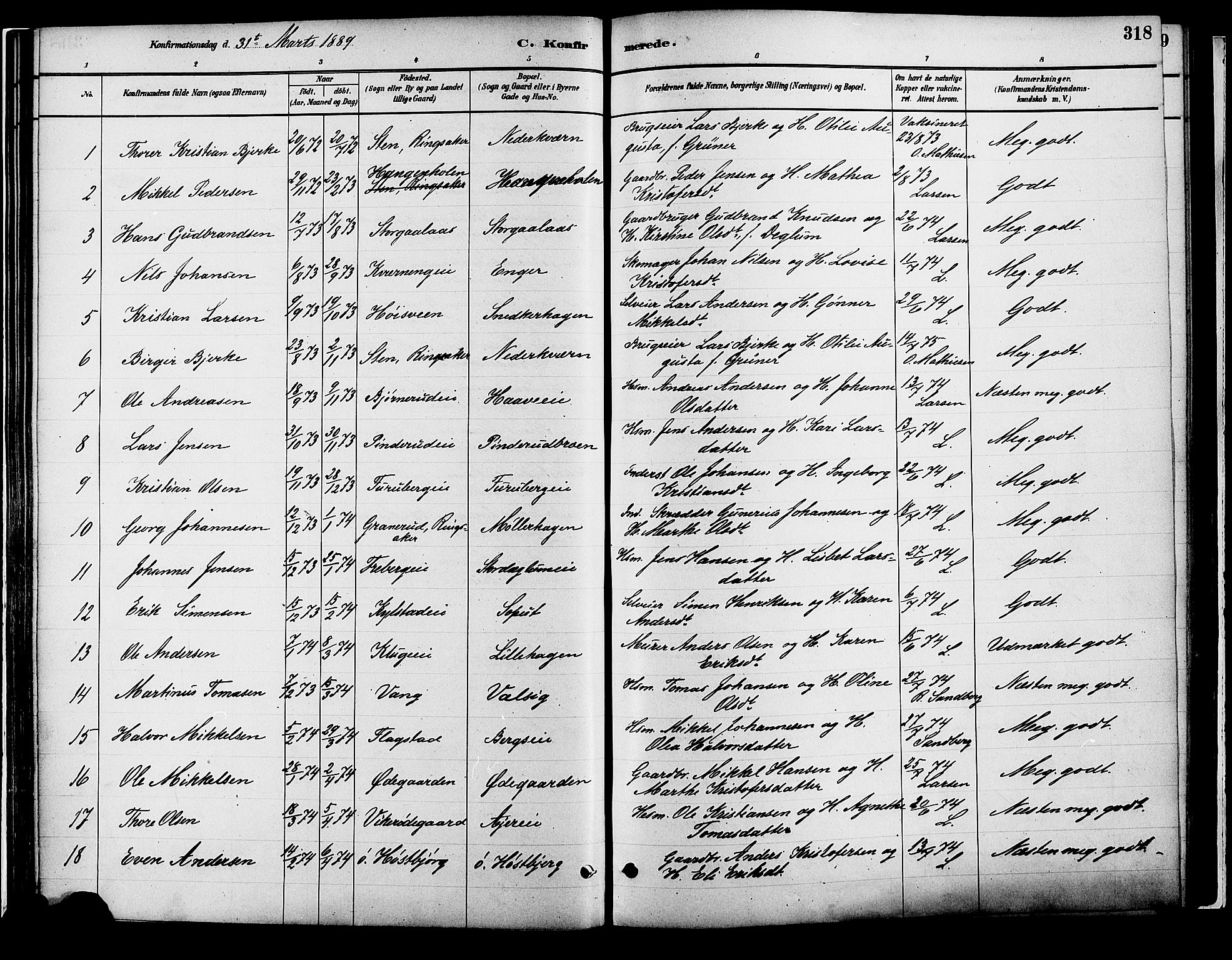 Vang prestekontor, Hedmark, SAH/PREST-008/H/Ha/Haa/L0018B: Parish register (official) no. 18B, 1880-1906, p. 318