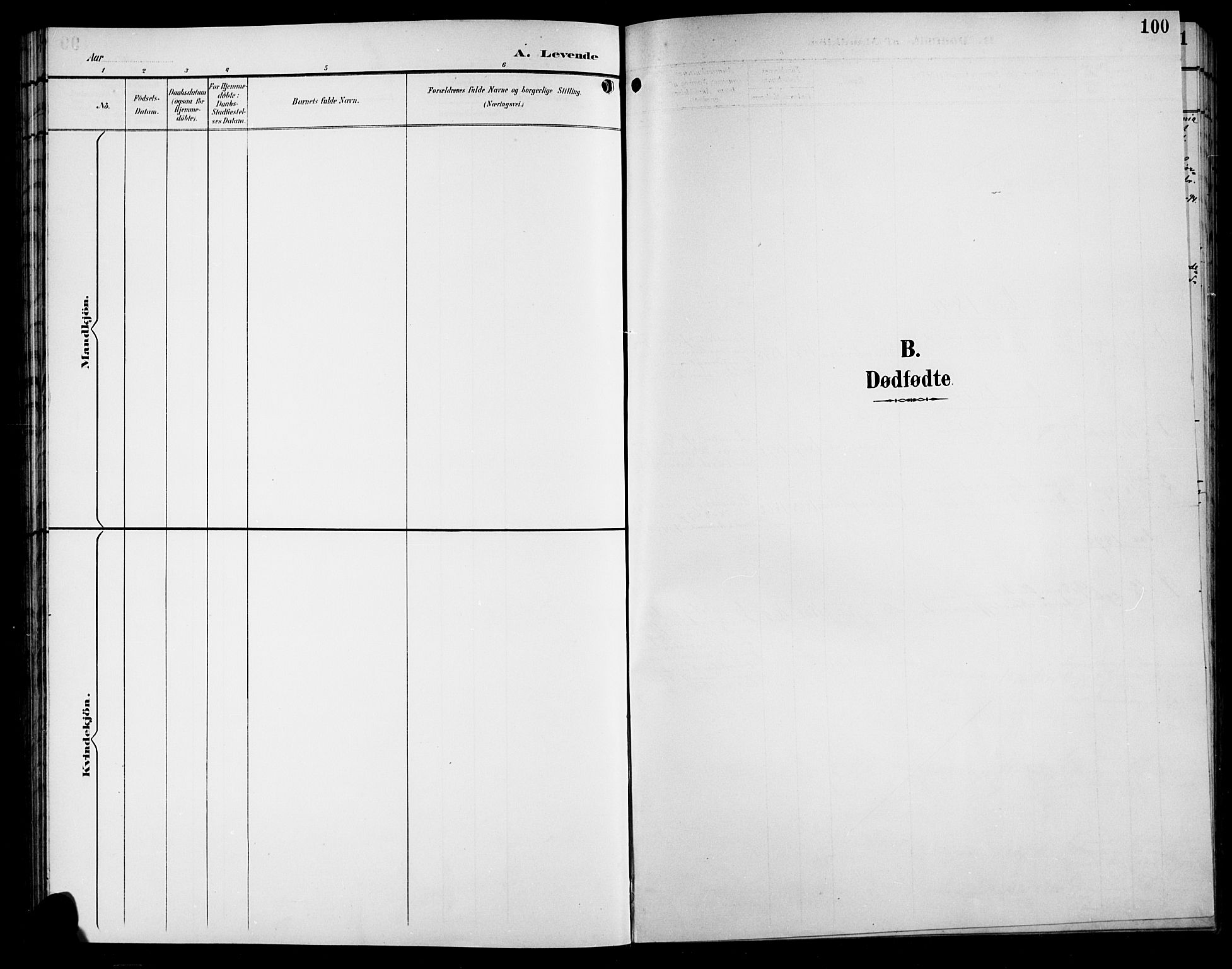 Sør-Aurdal prestekontor, SAH/PREST-128/H/Ha/Hab/L0009: Parish register (copy) no. 9, 1894-1924, p. 100