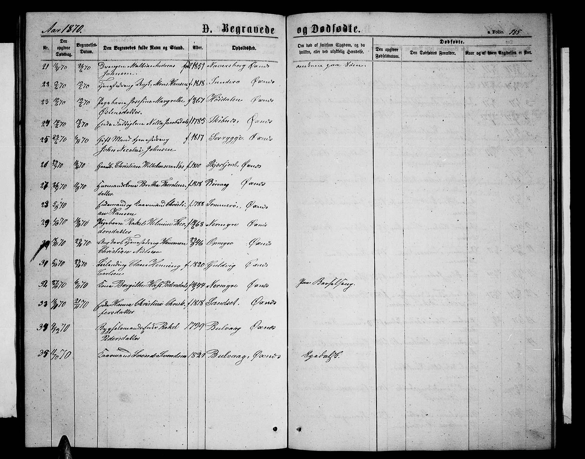 Ministerialprotokoller, klokkerbøker og fødselsregistre - Nordland, AV/SAT-A-1459/893/L1348: Parish register (copy) no. 893C03, 1867-1877, p. 185