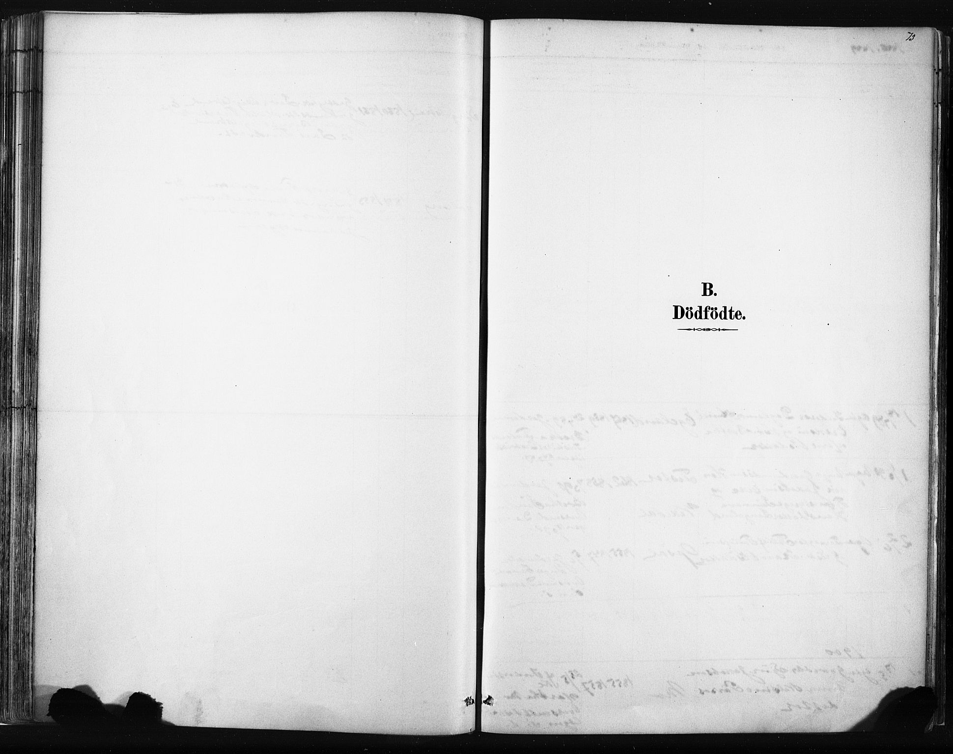 Vikedal sokneprestkontor, AV/SAST-A-101840/01/IV: Parish register (official) no. A 10, 1884-1907