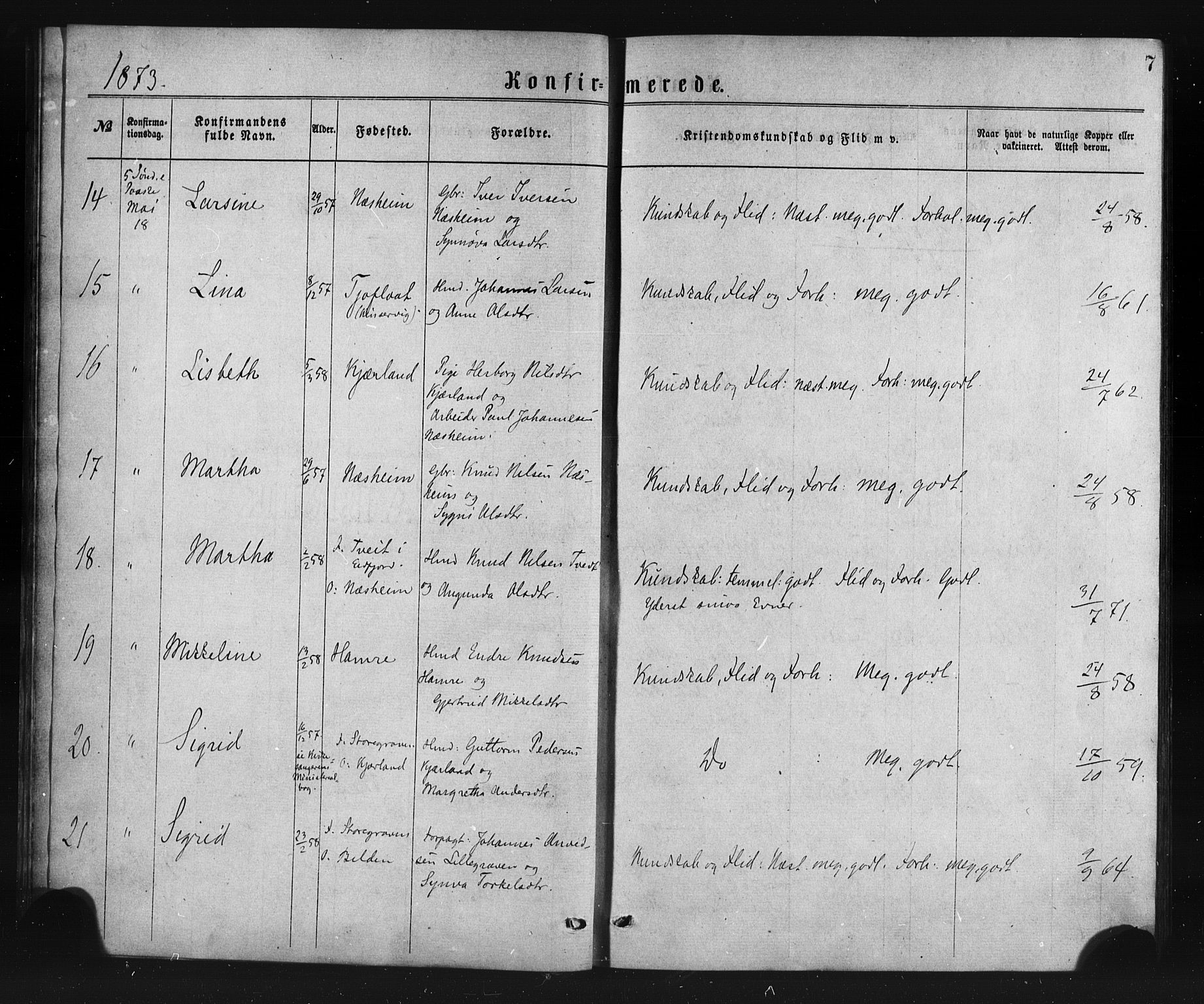 Ulvik sokneprestembete, AV/SAB-A-78801/H/Haa: Parish register (official) no. A 17, 1873-1891, p. 7