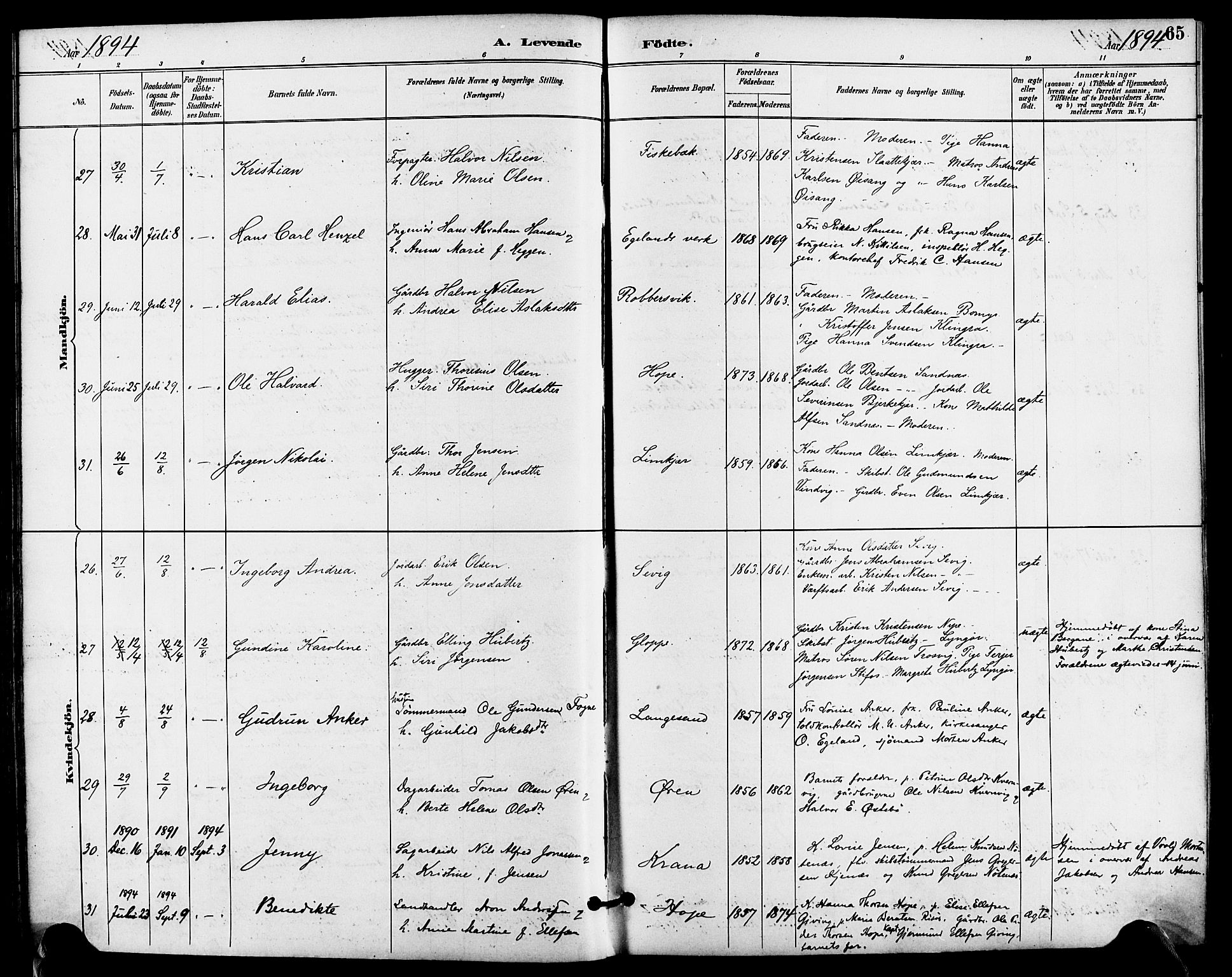 Søndeled sokneprestkontor, SAK/1111-0038/F/Fa/L0005: Parish register (official) no. A 5, 1889-1899, p. 65