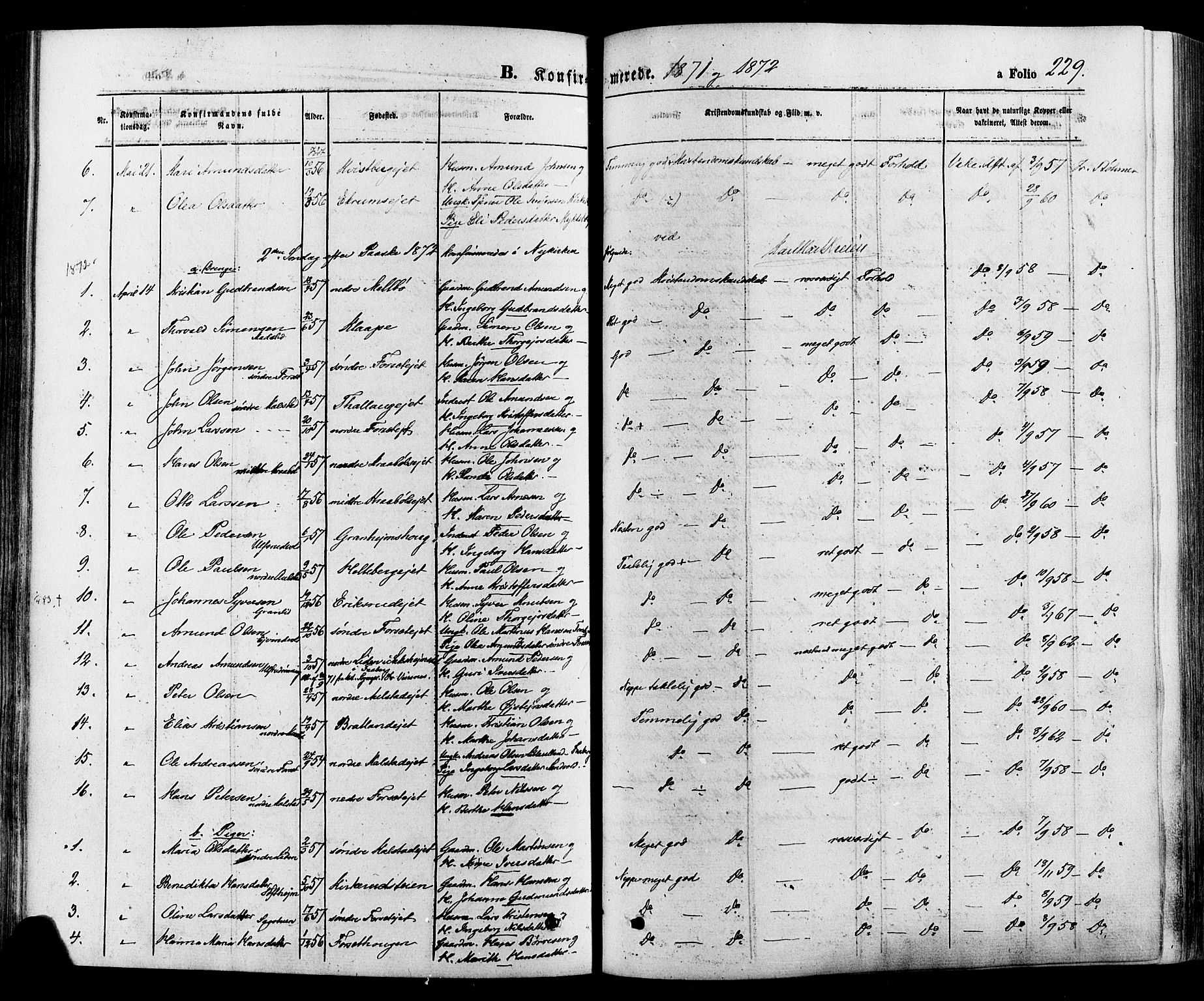 Gausdal prestekontor, SAH/PREST-090/H/Ha/Haa/L0010: Parish register (official) no. 10, 1867-1886, p. 229
