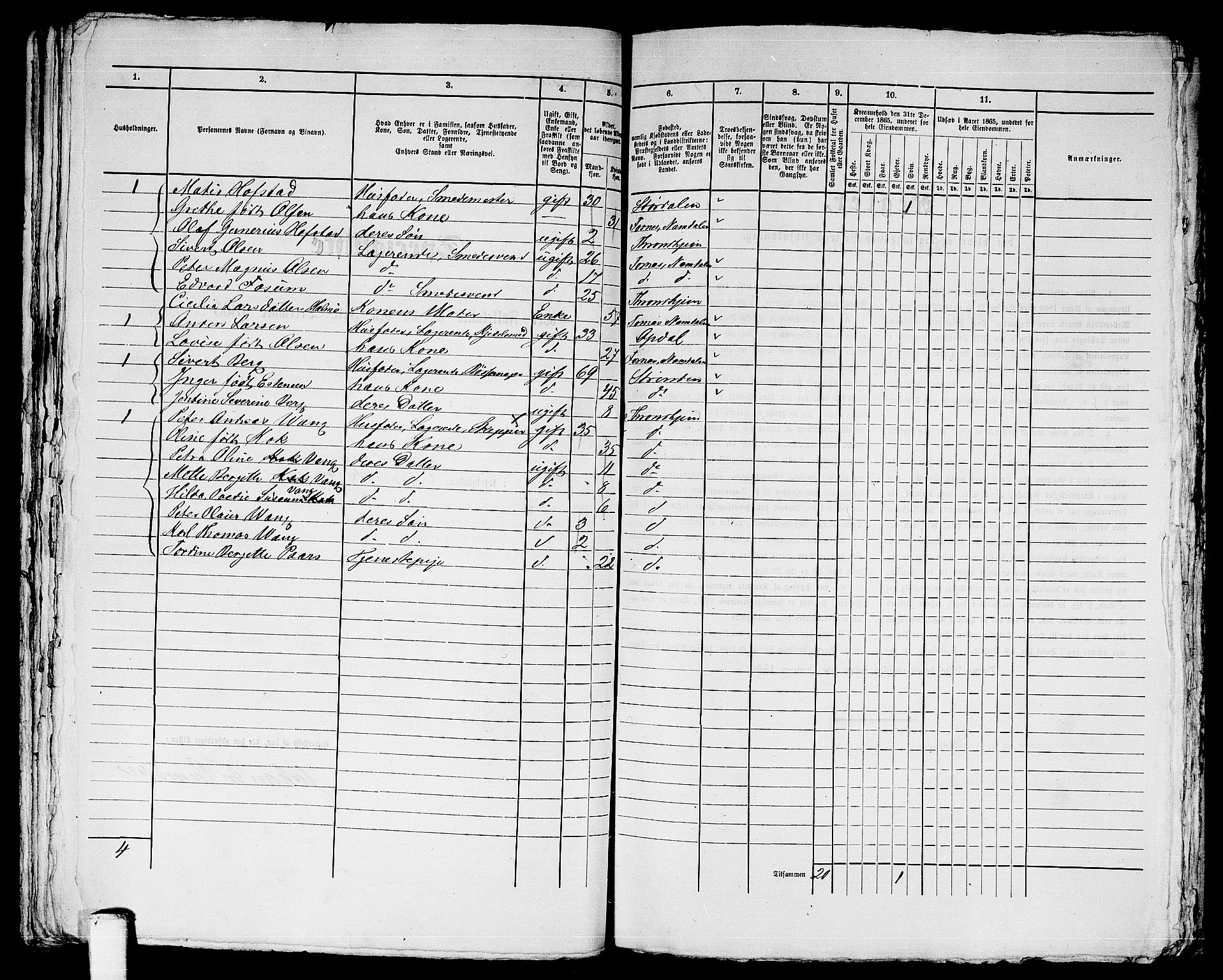 RA, 1865 census for Trondheim, 1865, p. 2370