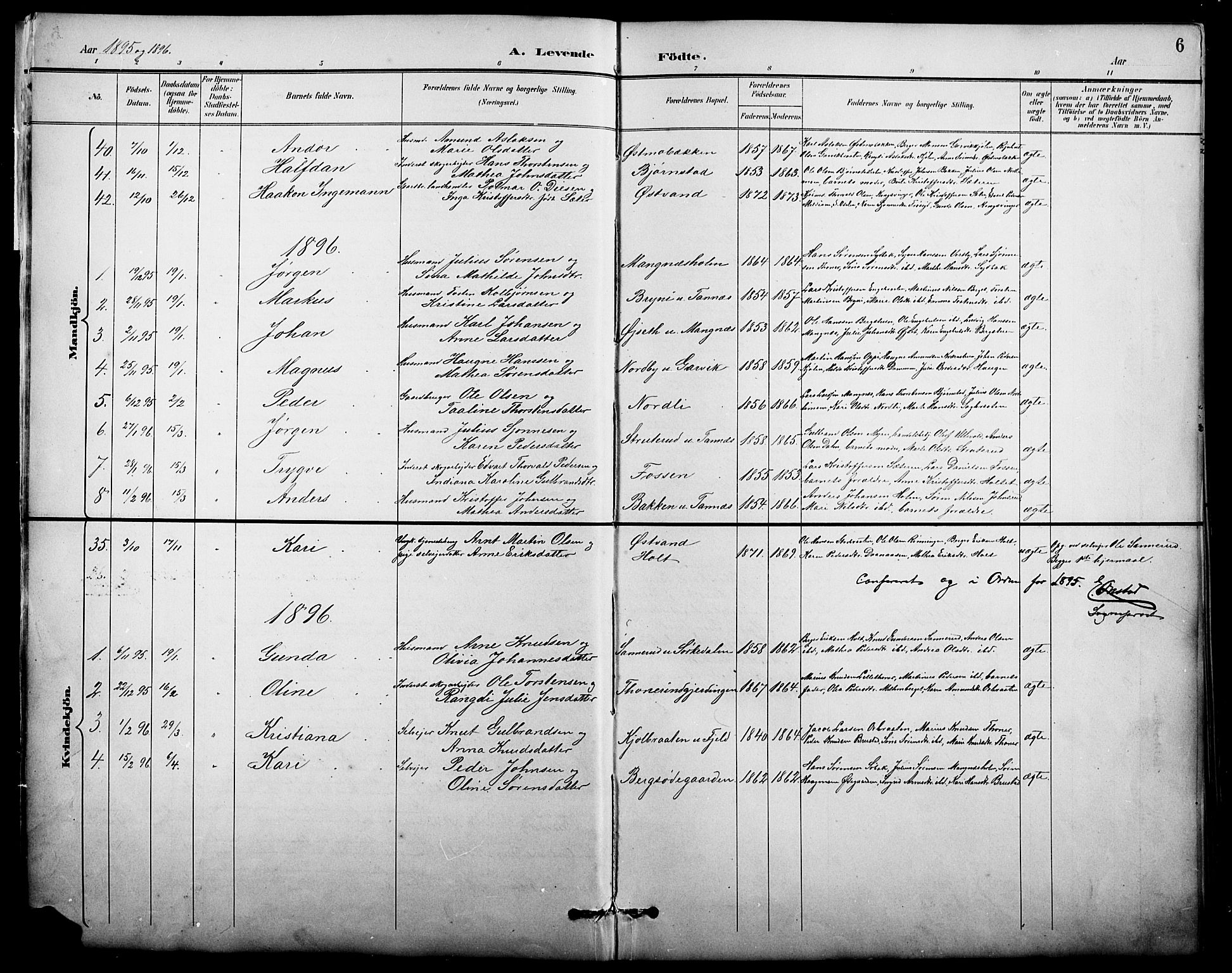 Nord-Odal prestekontor, AV/SAH-PREST-032/H/Ha/Hab/L0002: Parish register (copy) no. 2, 1895-1921, p. 6