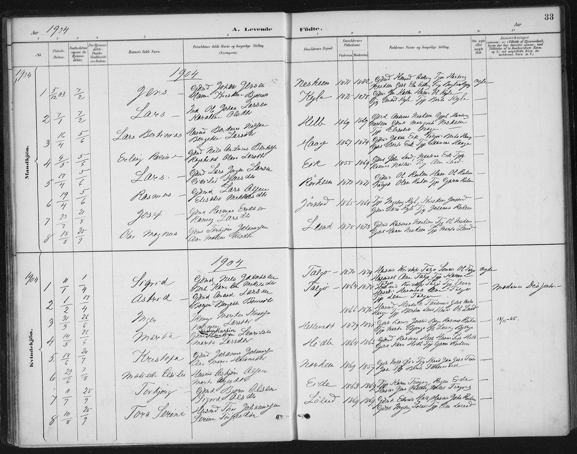 Nedstrand sokneprestkontor, AV/SAST-A-101841/01/IV: Parish register (official) no. A 13, 1887-1915, p. 33