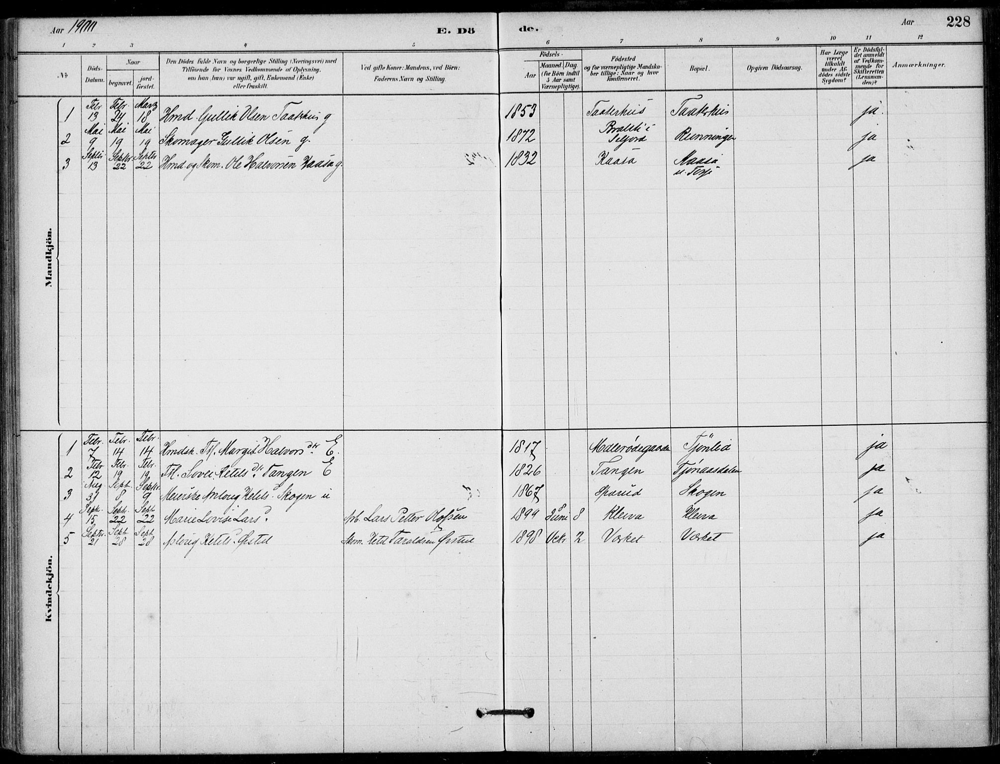 Hjartdal kirkebøker, SAKO/A-270/F/Fb/L0002: Parish register (official) no. II 2, 1880-1932, p. 228