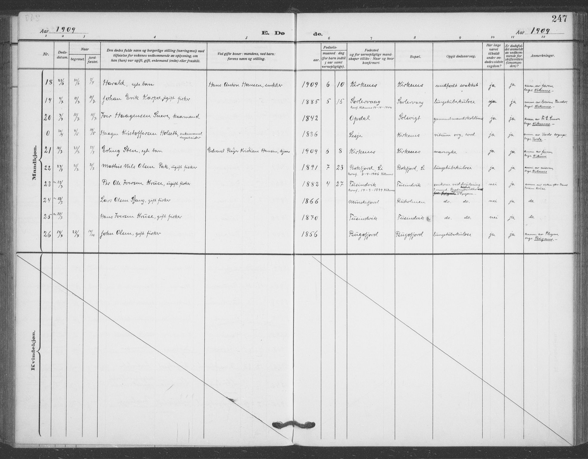 Sør-Varanger sokneprestkontor, AV/SATØ-S-1331/H/Ha/L0005kirke: Parish register (official) no. 5, 1909-1919, p. 247